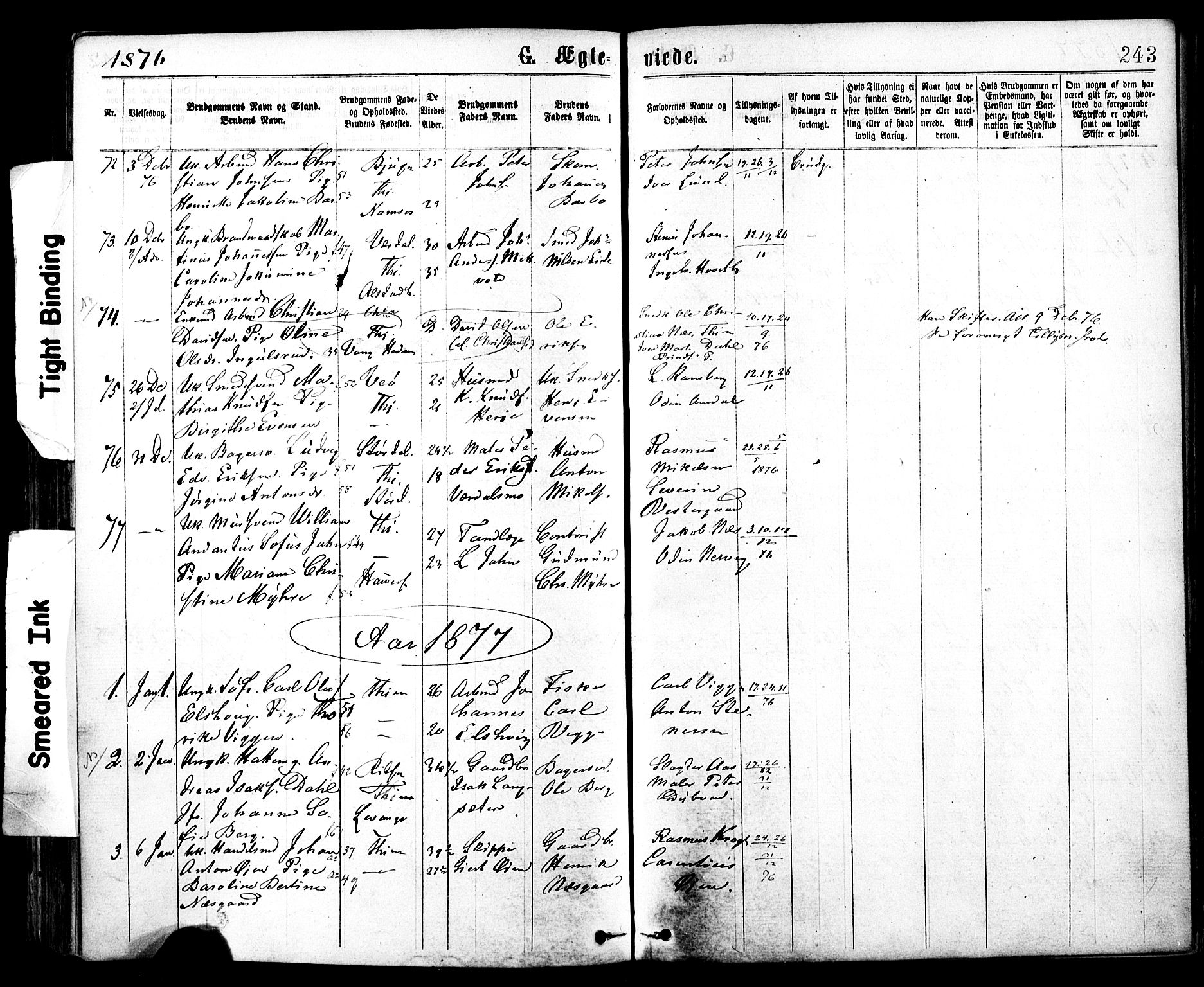 Ministerialprotokoller, klokkerbøker og fødselsregistre - Sør-Trøndelag, SAT/A-1456/602/L0118: Parish register (official) no. 602A16, 1873-1879, p. 243