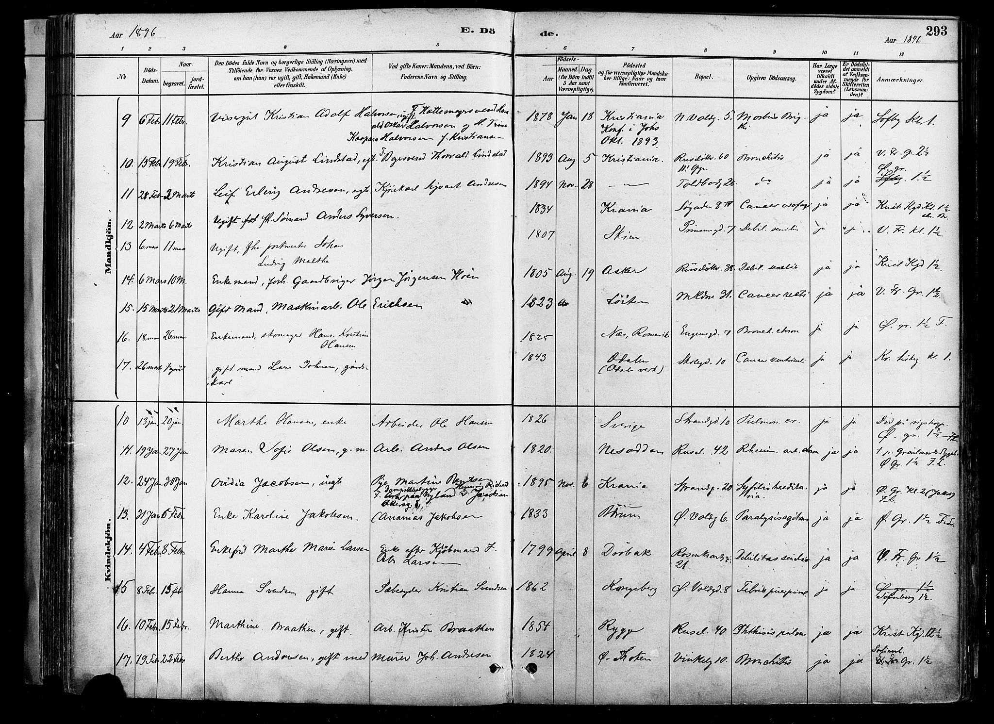 Johannes prestekontor Kirkebøker, AV/SAO-A-10852/F/Fa/L0004: Parish register (official) no. 4, 1883-1907, p. 293