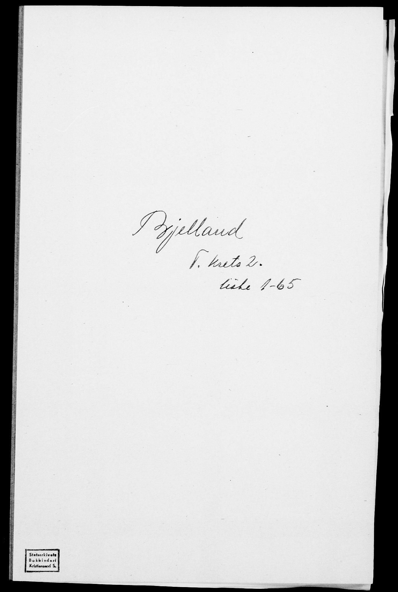 SAK, 1875 census for 1024P Bjelland, 1875, p. 132