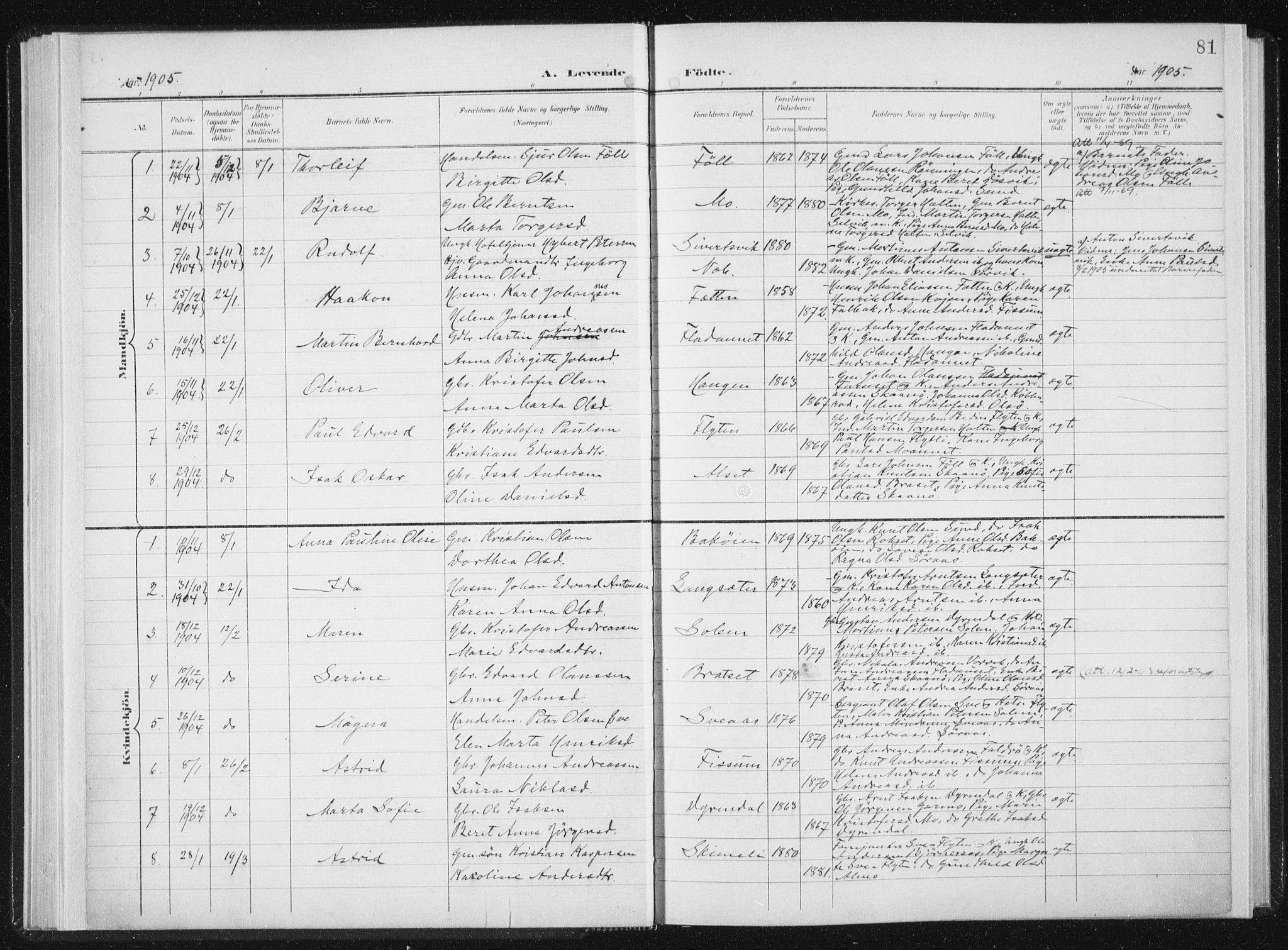 Ministerialprotokoller, klokkerbøker og fødselsregistre - Sør-Trøndelag, SAT/A-1456/647/L0635: Parish register (official) no. 647A02, 1896-1911, p. 81