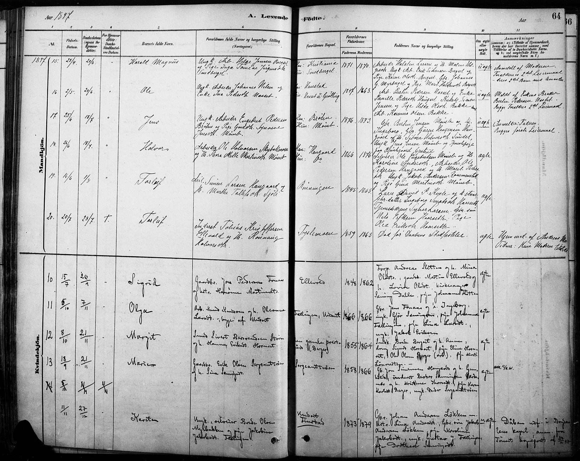 Rendalen prestekontor, AV/SAH-PREST-054/H/Ha/Haa/L0009: Parish register (official) no. 9, 1878-1901, p. 64