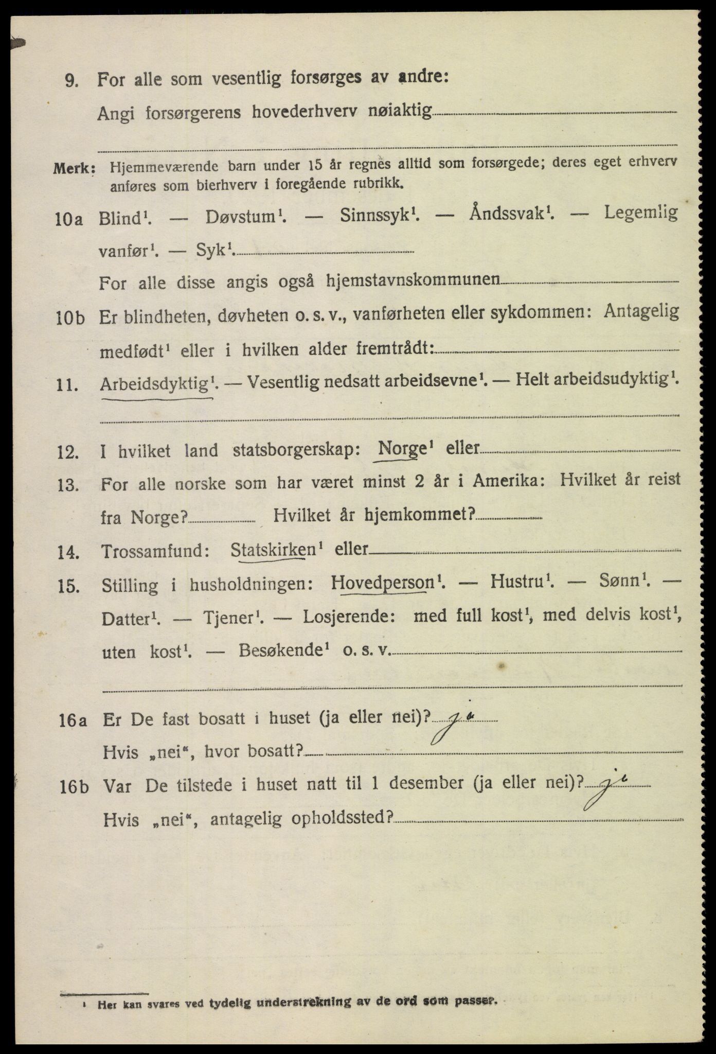 SAH, 1920 census for Heidal, 1920, p. 2023