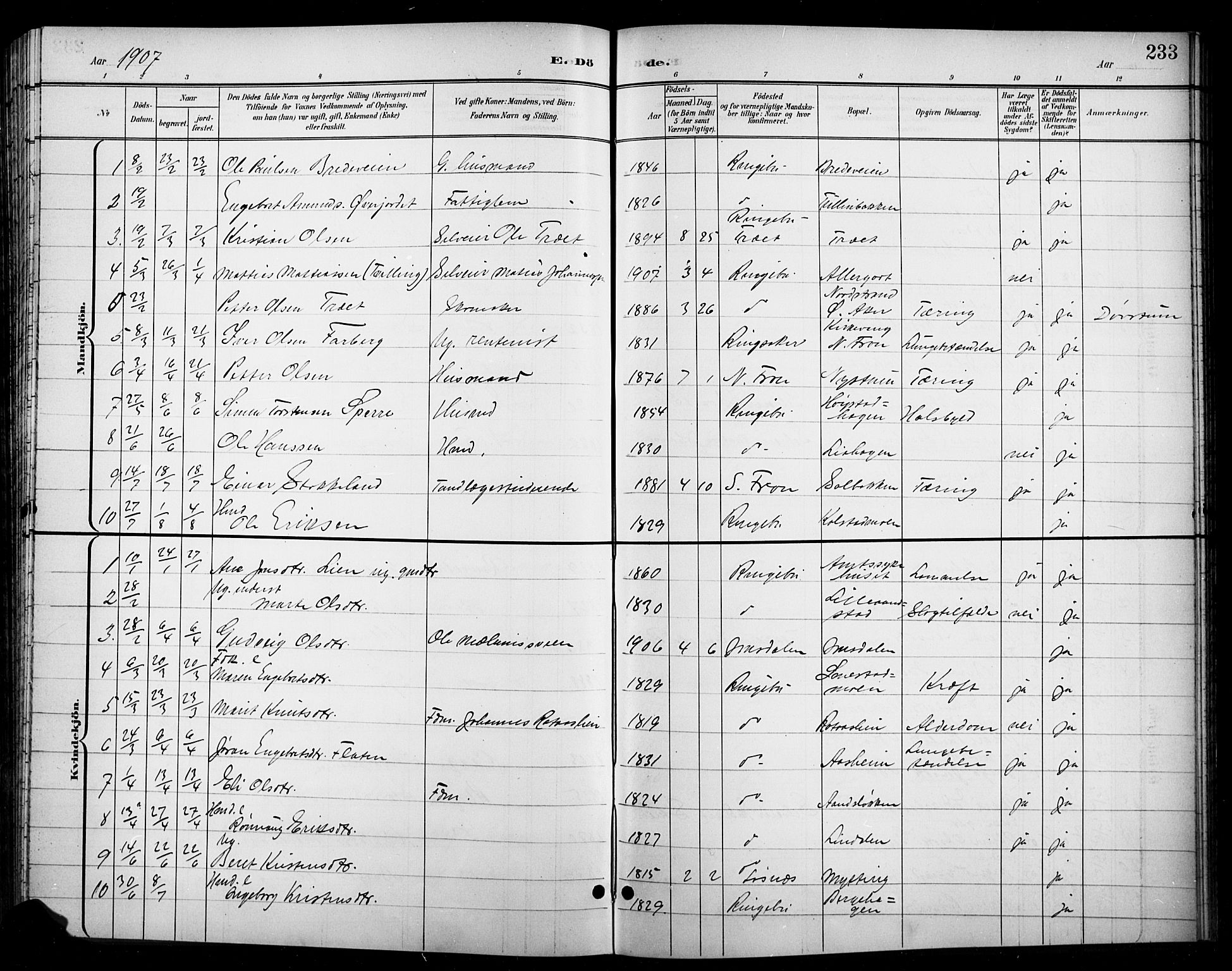 Ringebu prestekontor, SAH/PREST-082/H/Ha/Hab/L0009: Parish register (copy) no. 9, 1899-1921, p. 233