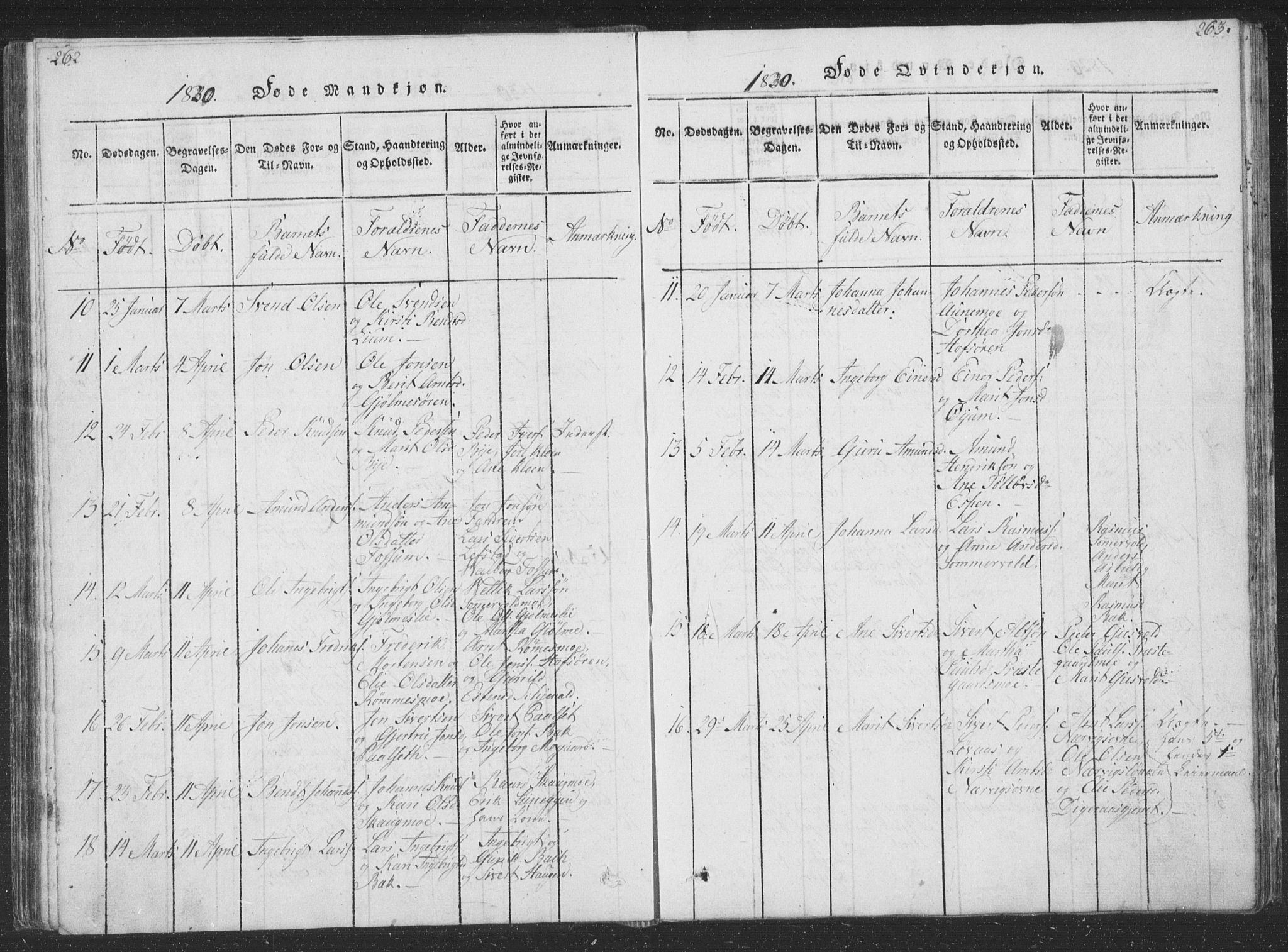 Ministerialprotokoller, klokkerbøker og fødselsregistre - Sør-Trøndelag, SAT/A-1456/668/L0816: Parish register (copy) no. 668C05, 1816-1893, p. 262-263
