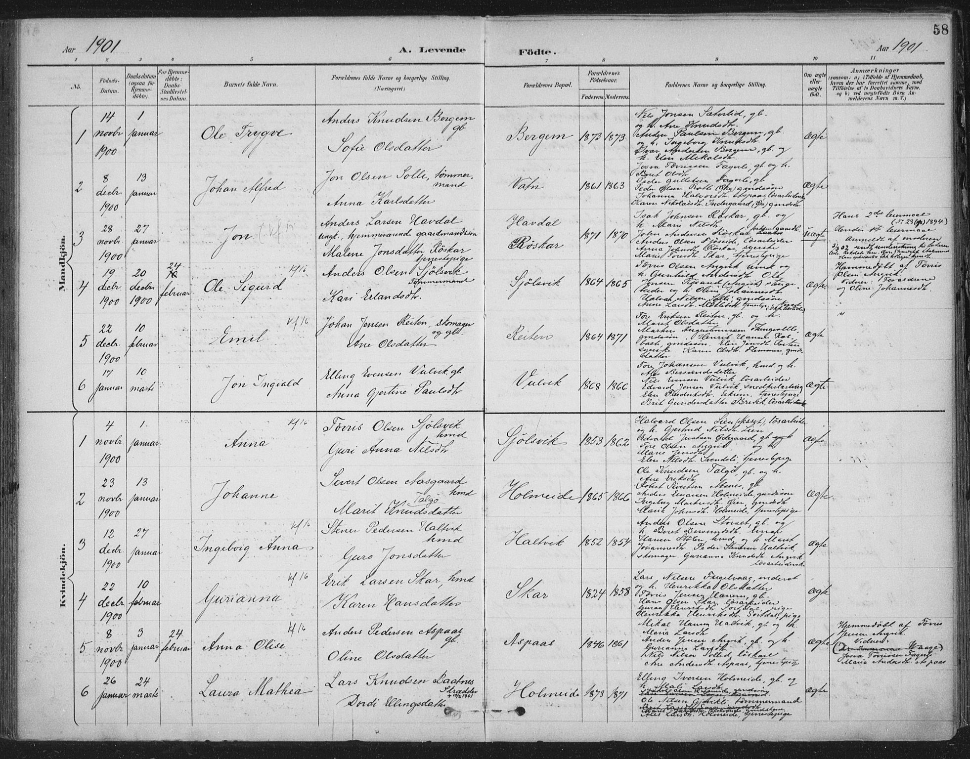 Ministerialprotokoller, klokkerbøker og fødselsregistre - Møre og Romsdal, AV/SAT-A-1454/586/L0988: Parish register (official) no. 586A14, 1893-1905, p. 58