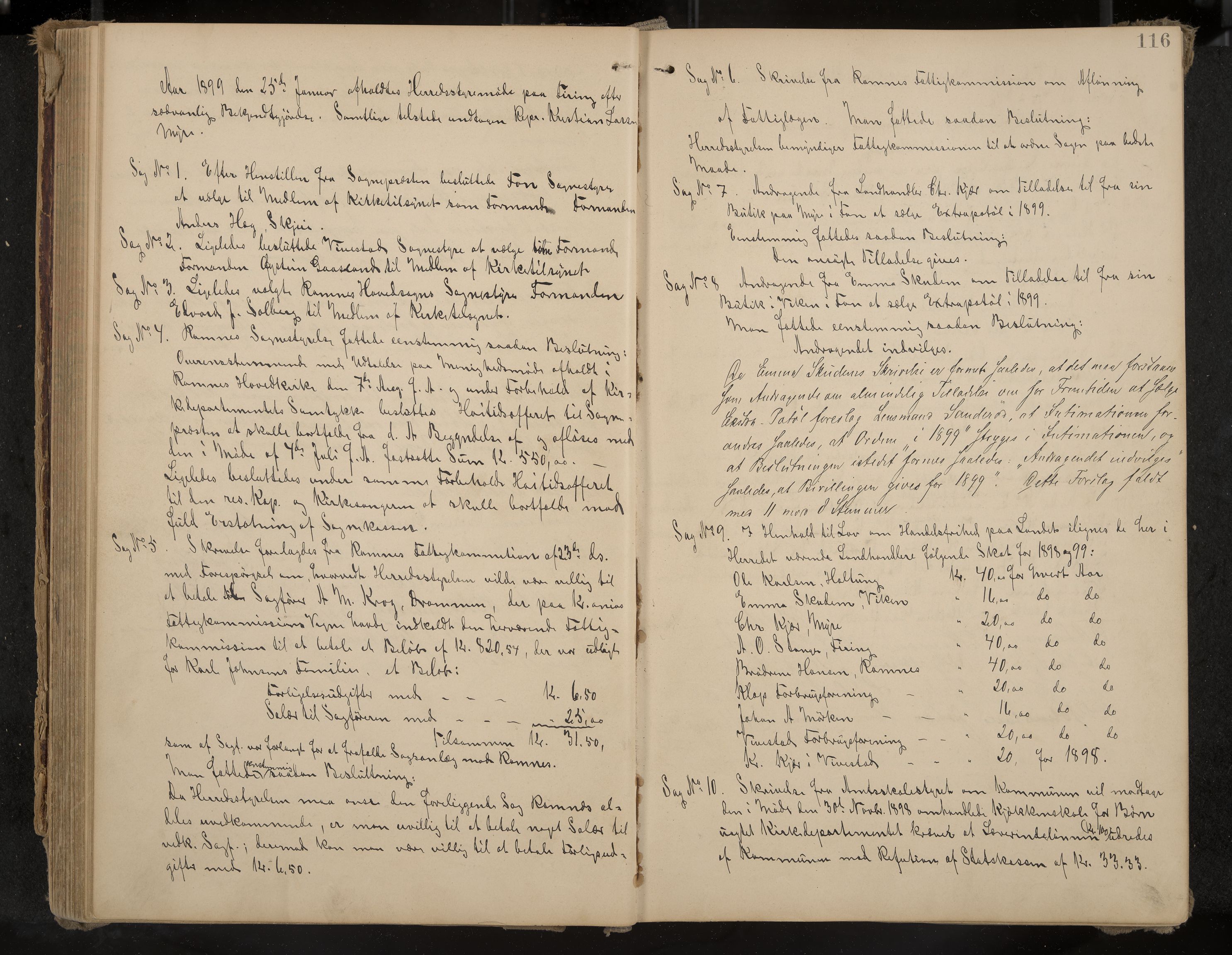 Ramnes formannskap og sentraladministrasjon, IKAK/0718021/A/Aa/L0004: Møtebok, 1892-1907, p. 116