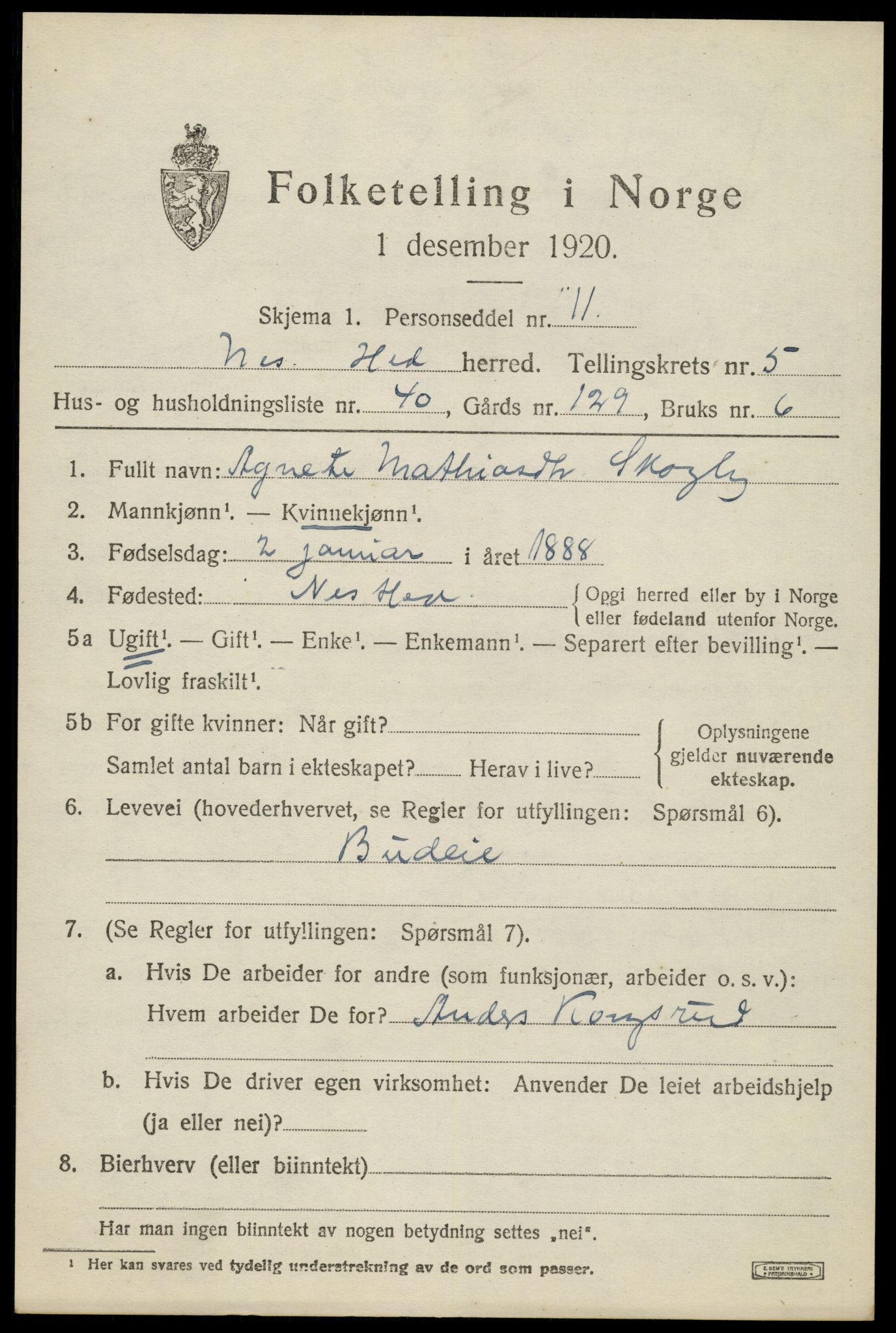 SAH, 1920 census for Nes (Hedmark), 1920, p. 7538