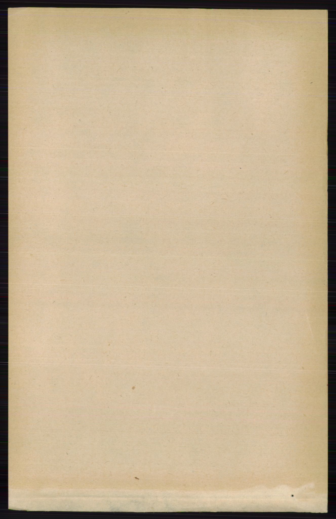 RA, 1891 census for 0423 Grue, 1891, p. 6117