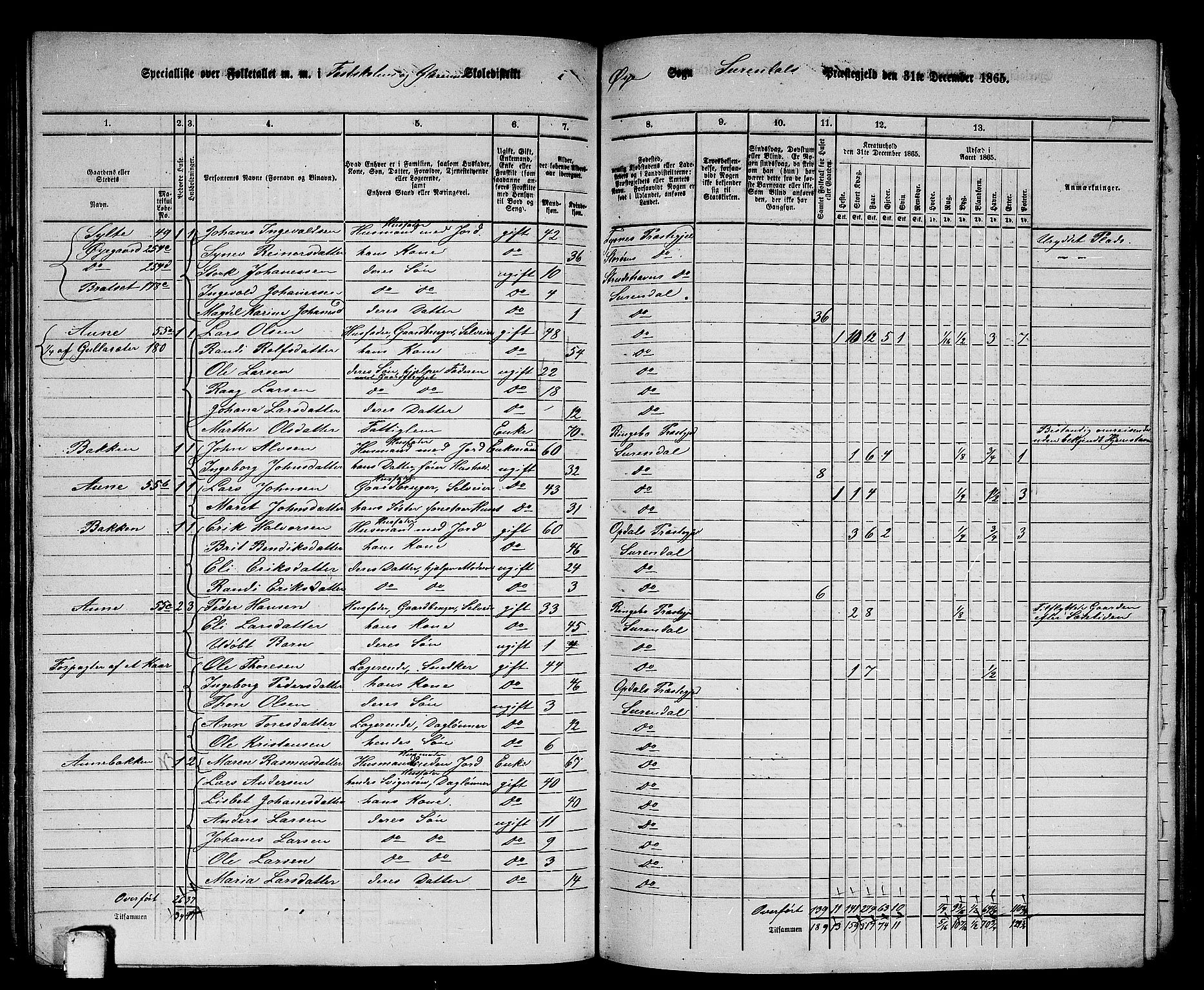 RA, 1865 census for Surnadal, 1865, p. 135