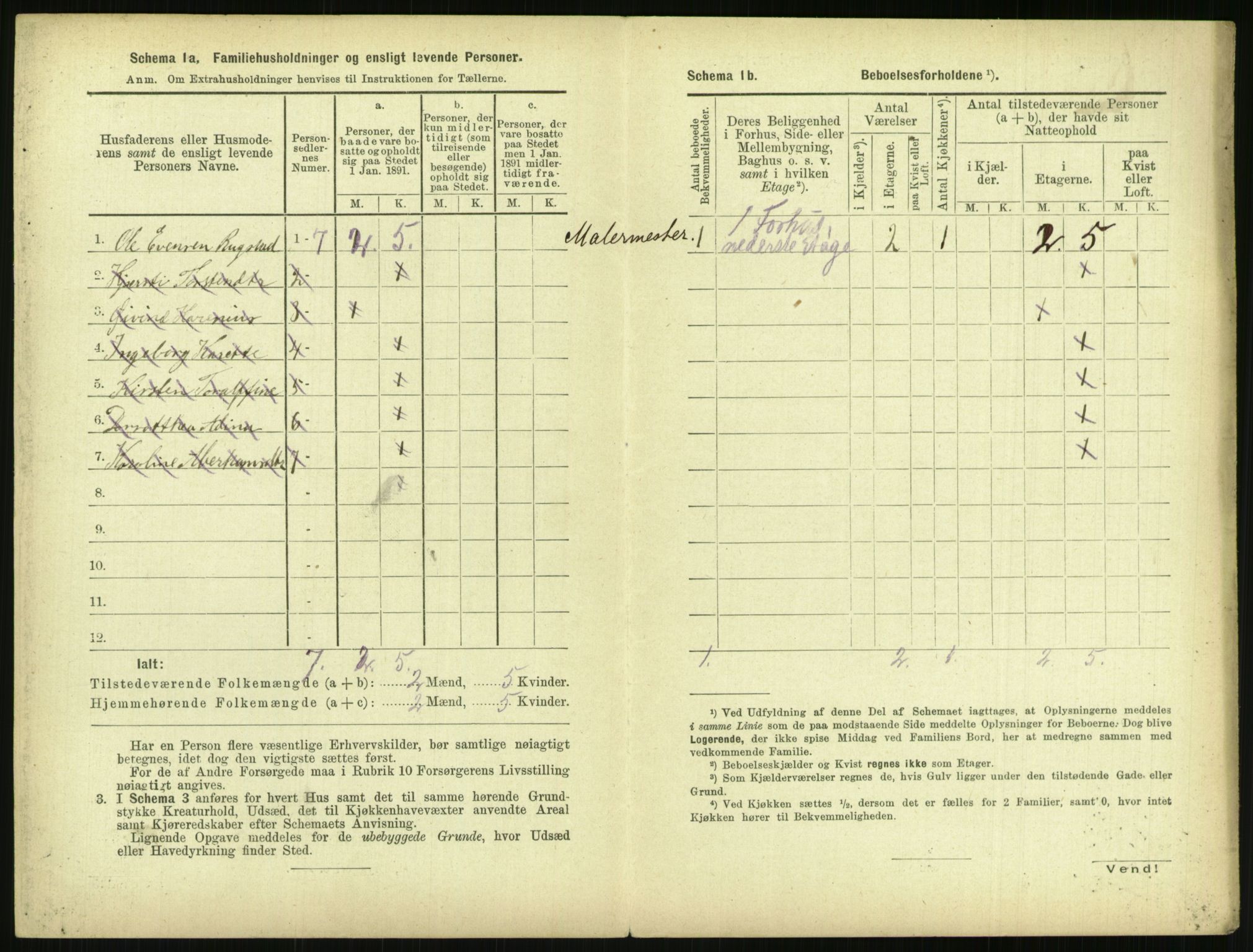 RA, 1891 census for 0806 Skien, 1891, p. 1519