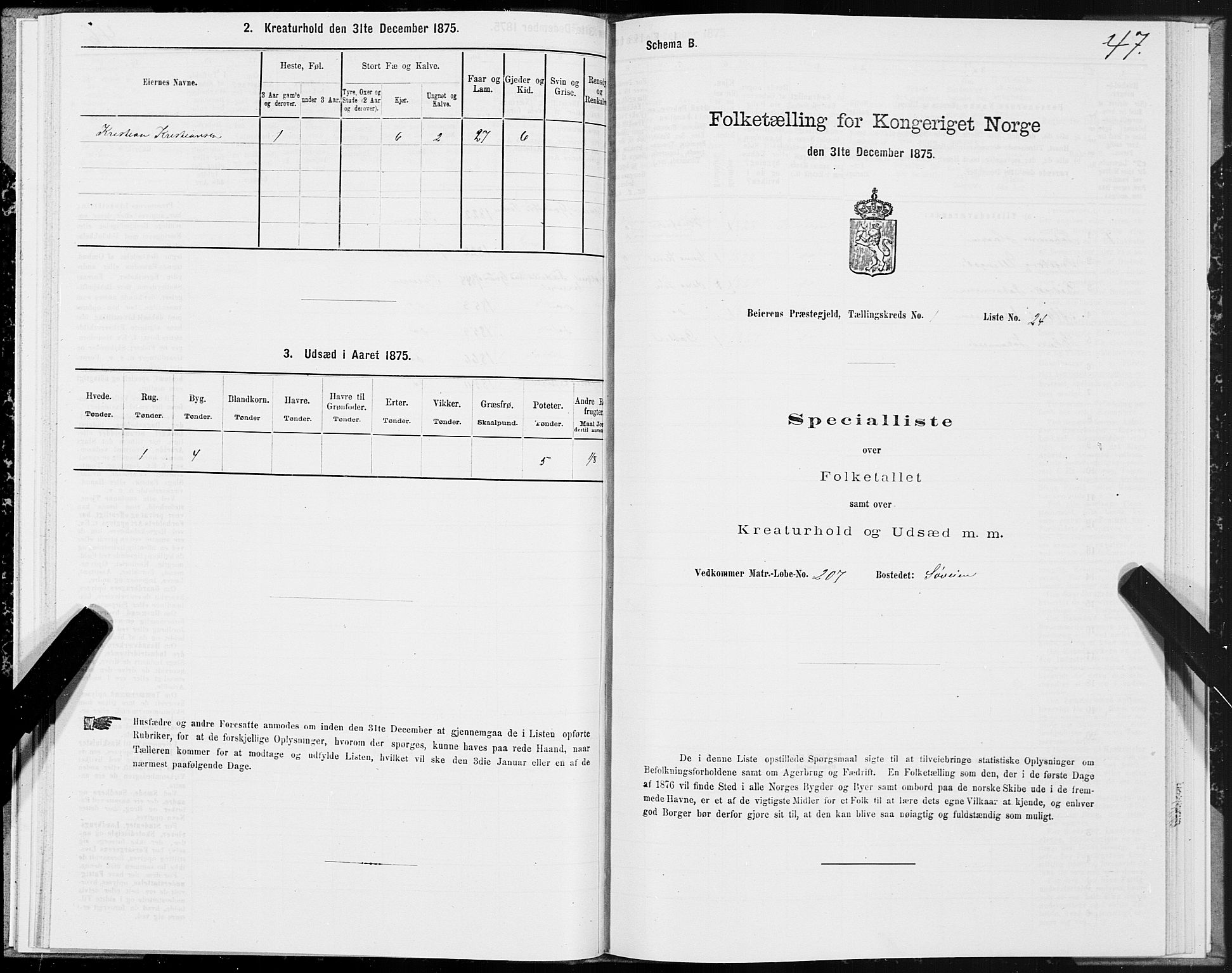 SAT, 1875 census for 1839P Beiarn, 1875, p. 1047