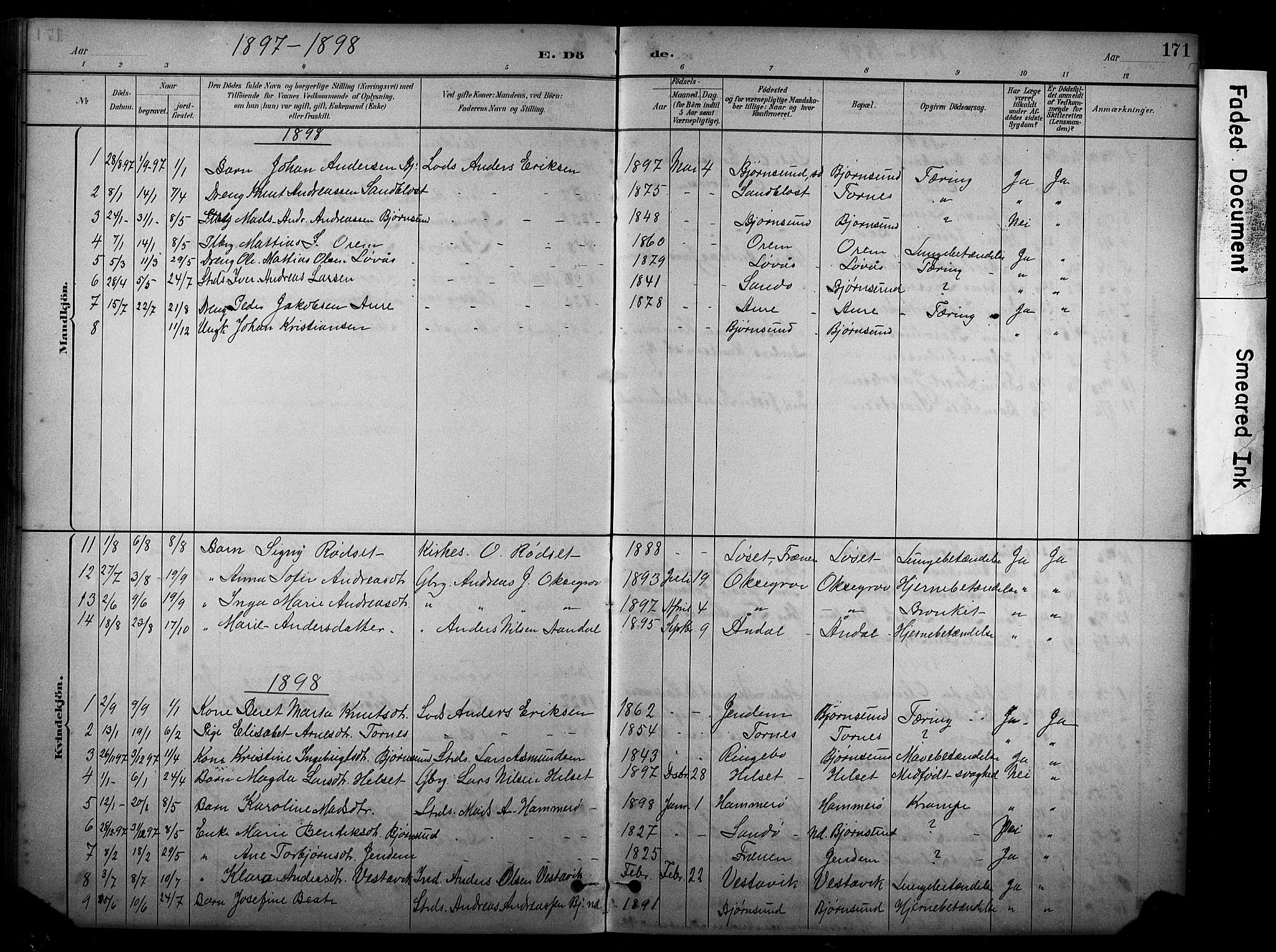 Ministerialprotokoller, klokkerbøker og fødselsregistre - Møre og Romsdal, AV/SAT-A-1454/565/L0755: Parish register (copy) no. 565C04, 1883-1903, p. 171