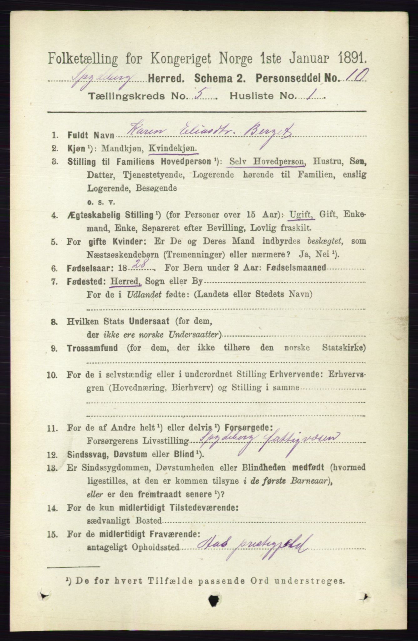 RA, 1891 census for 0123 Spydeberg, 1891, p. 2360