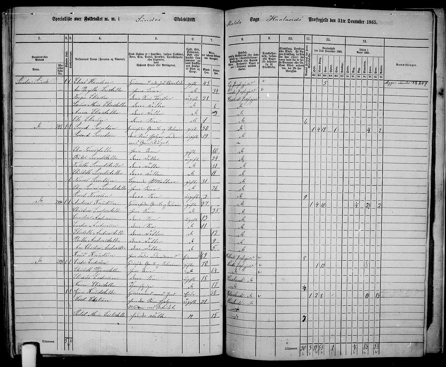 RA, 1865 census for Håland, 1865, p. 114