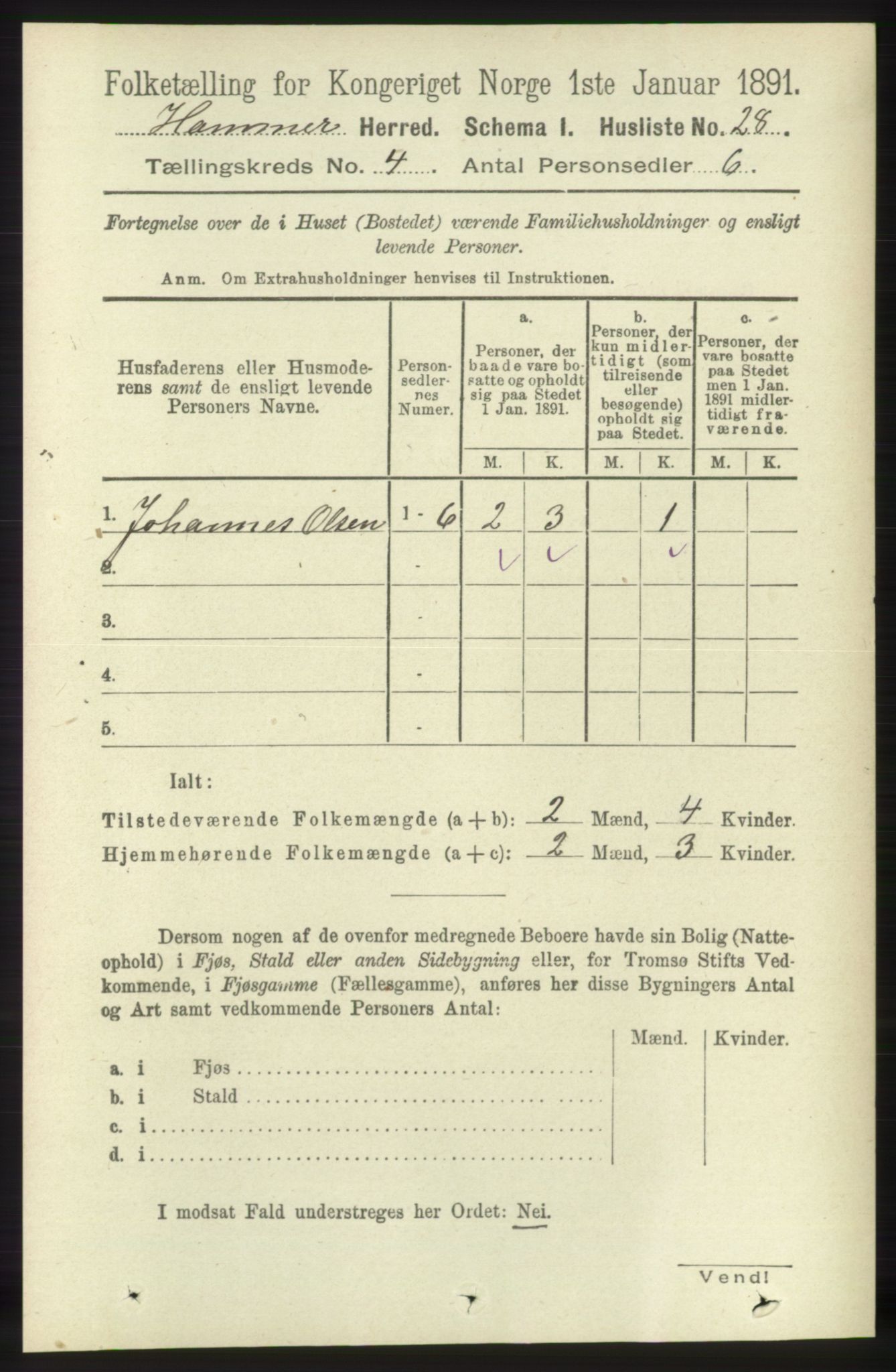 RA, 1891 census for 1254 Hamre, 1891, p. 919