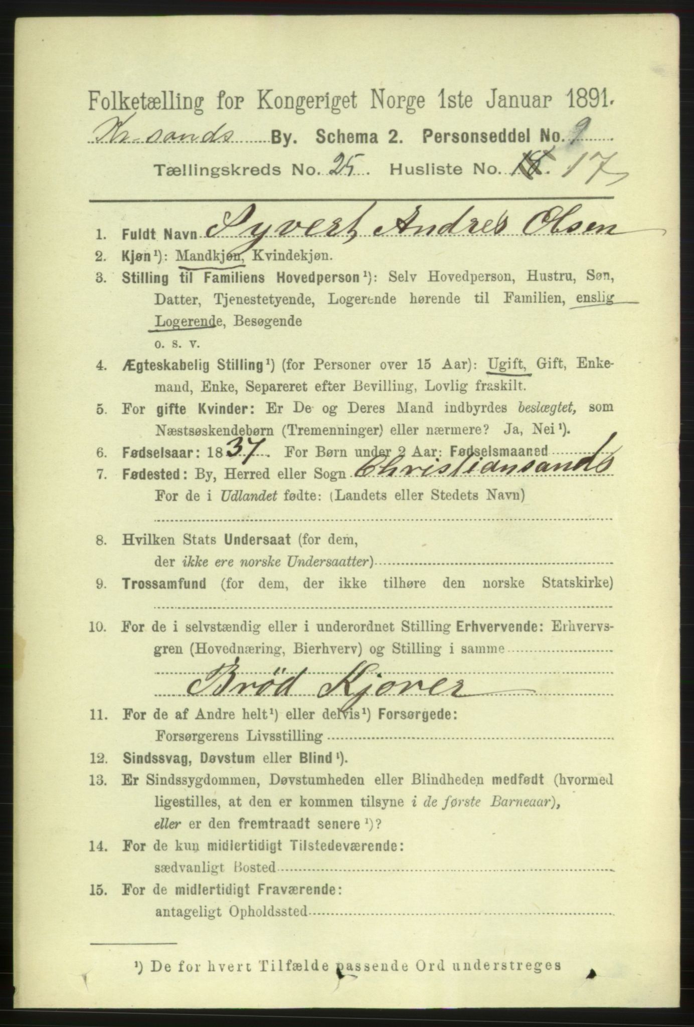 RA, 1891 census for 1001 Kristiansand, 1891, p. 8876