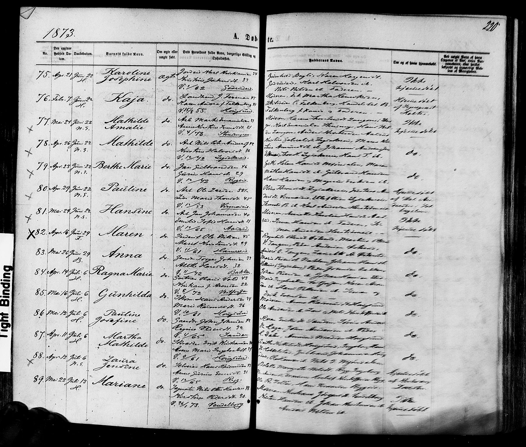 Eiker kirkebøker, AV/SAKO-A-4/F/Fa/L0017: Parish register (official) no. I 17, 1869-1877, p. 220