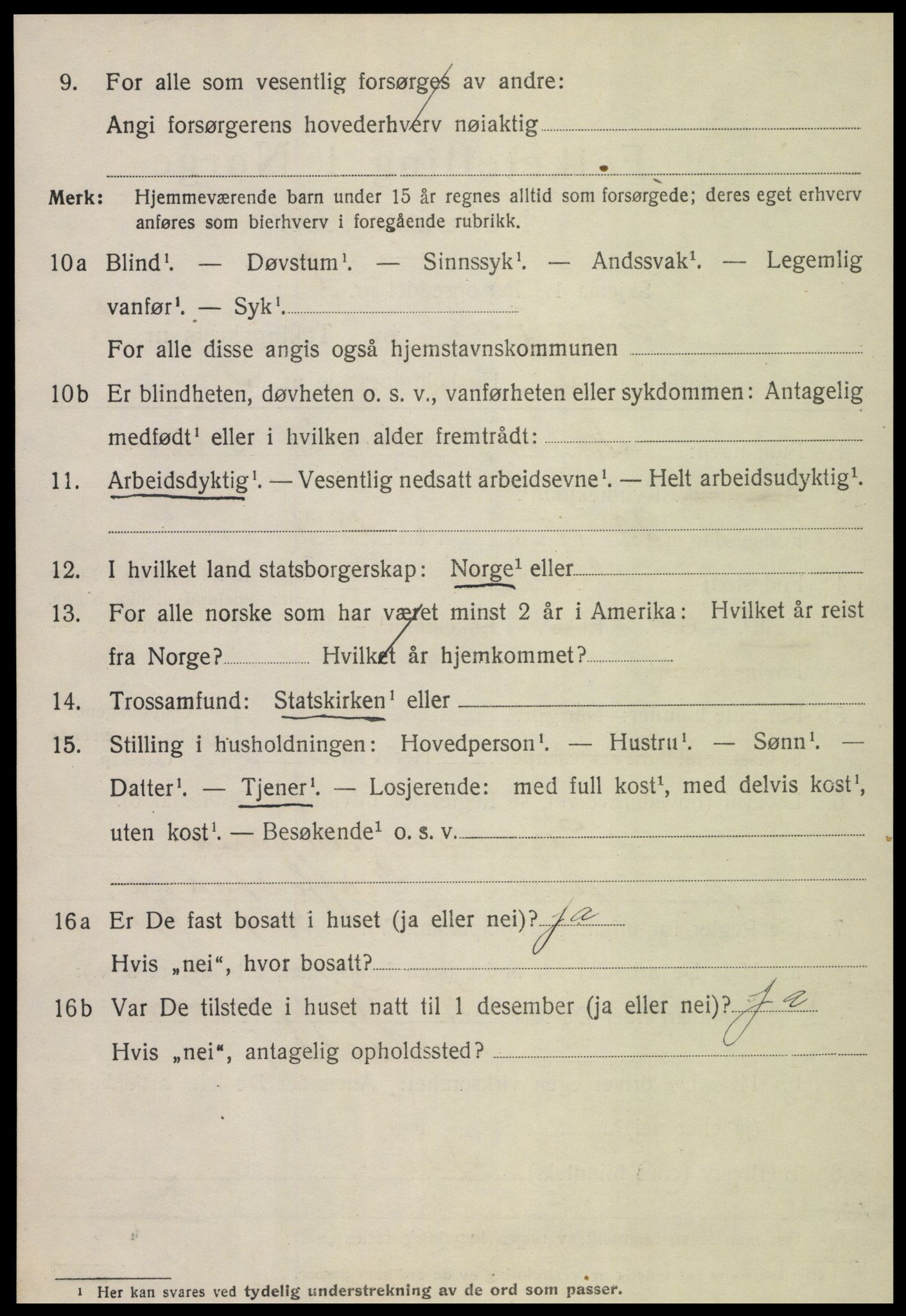 SAT, 1920 census for Steinkjer, 1920, p. 4219