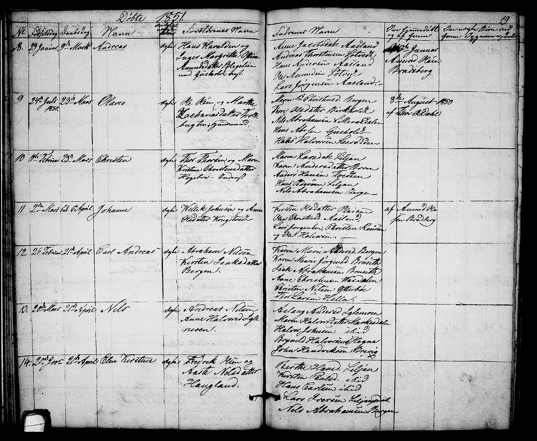 Solum kirkebøker, SAKO/A-306/G/Gb/L0001: Parish register (copy) no. II 1, 1848-1859, p. 19
