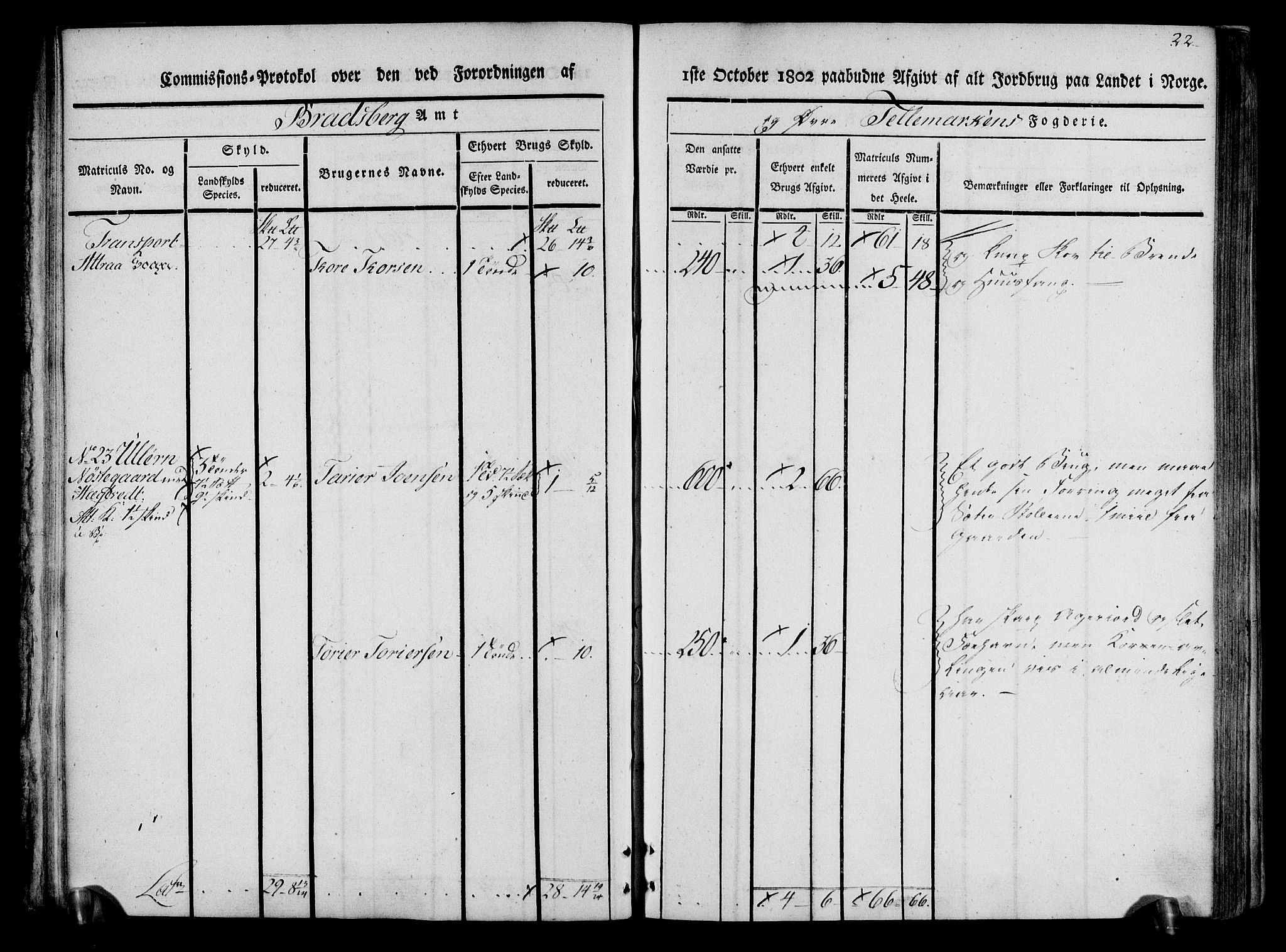 Rentekammeret inntil 1814, Realistisk ordnet avdeling, RA/EA-4070/N/Ne/Nea/L0074: Øvre Telemarken fogderi. Kommisjonsprotokoll for fogderiets østre del - Tinn, Hjartdal og Seljord prestegjeld., 1803, p. 22