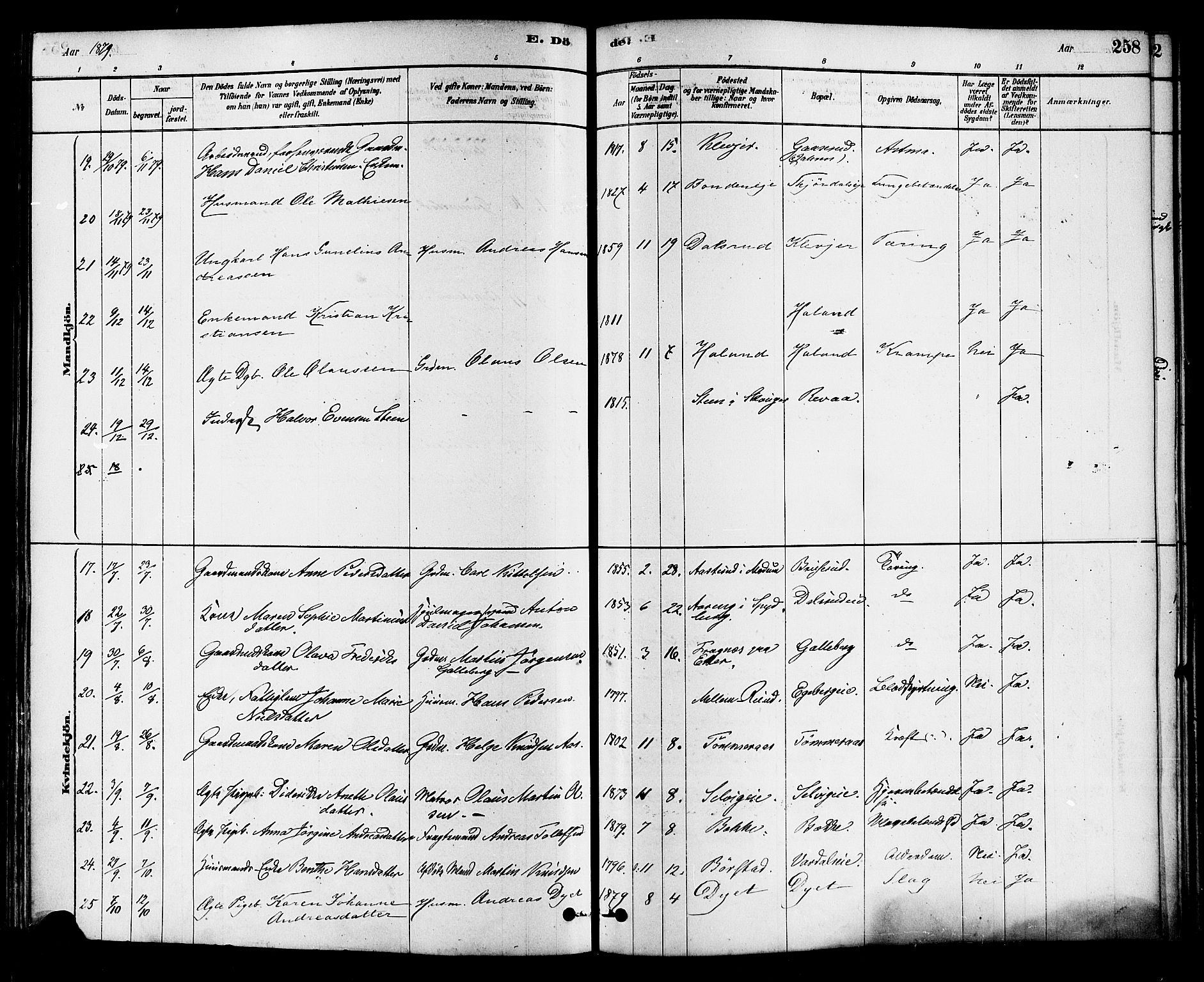 Sande Kirkebøker, AV/SAKO-A-53/F/Fa/L0006: Parish register (official) no. 6, 1878-1888, p. 258