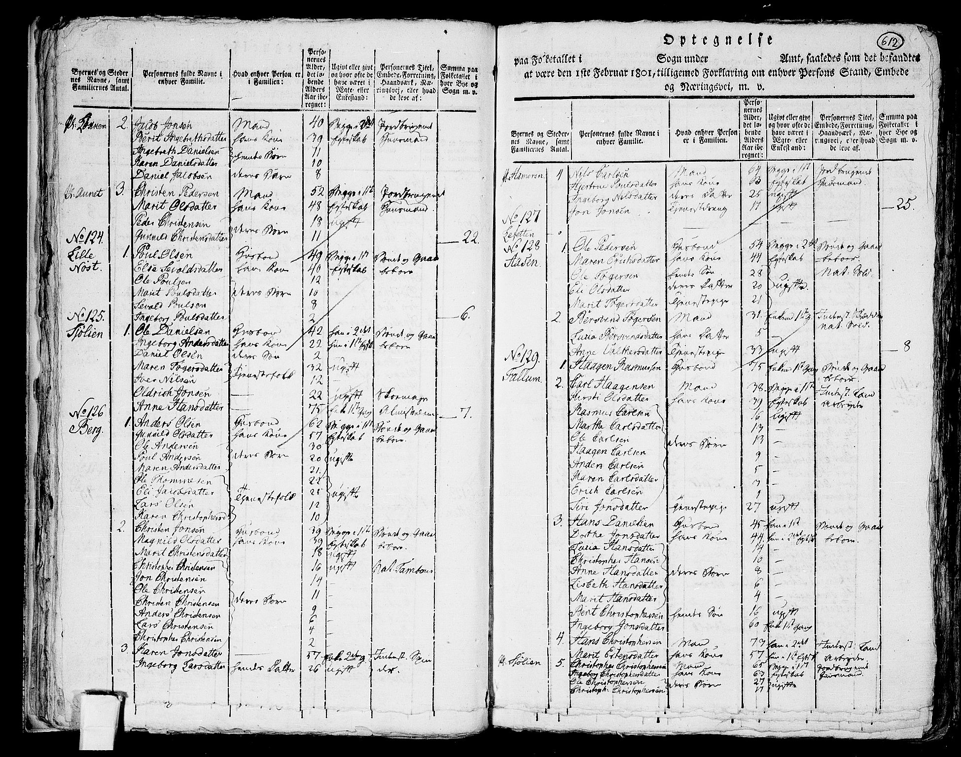 RA, 1801 census for 1625P Stadsbygd, 1801, p. 611b-612a