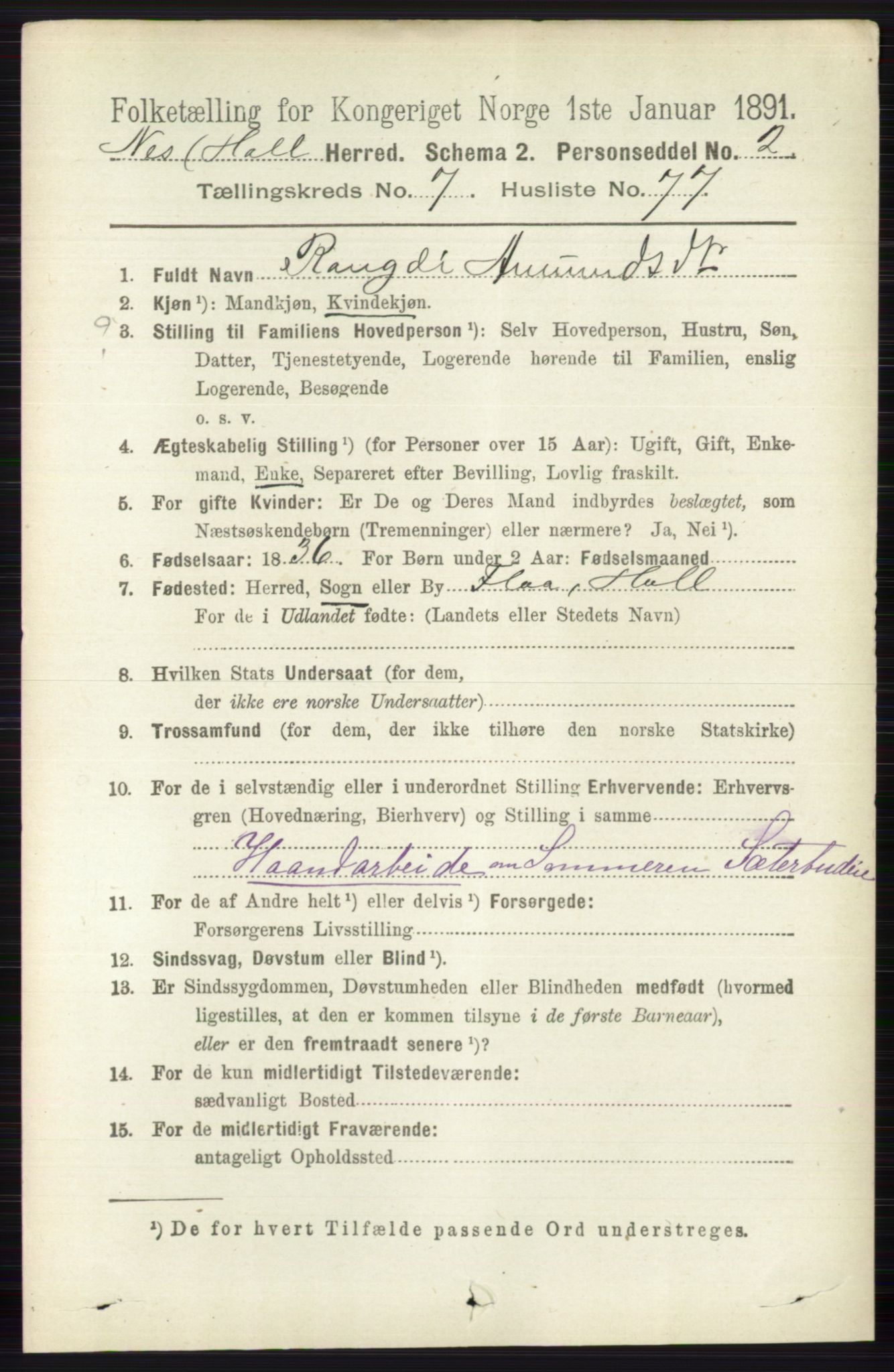 RA, 1891 census for 0616 Nes, 1891, p. 4044