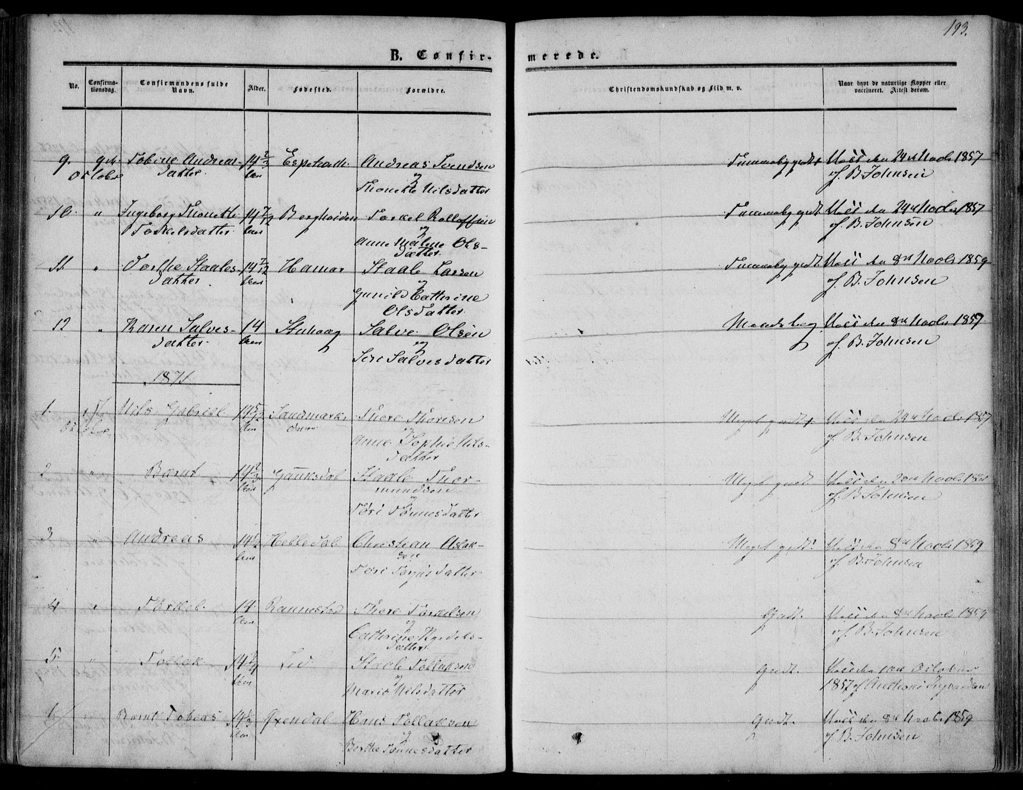 Bakke sokneprestkontor, SAK/1111-0002/F/Fa/Faa/L0006: Parish register (official) no. A 6, 1855-1877, p. 193