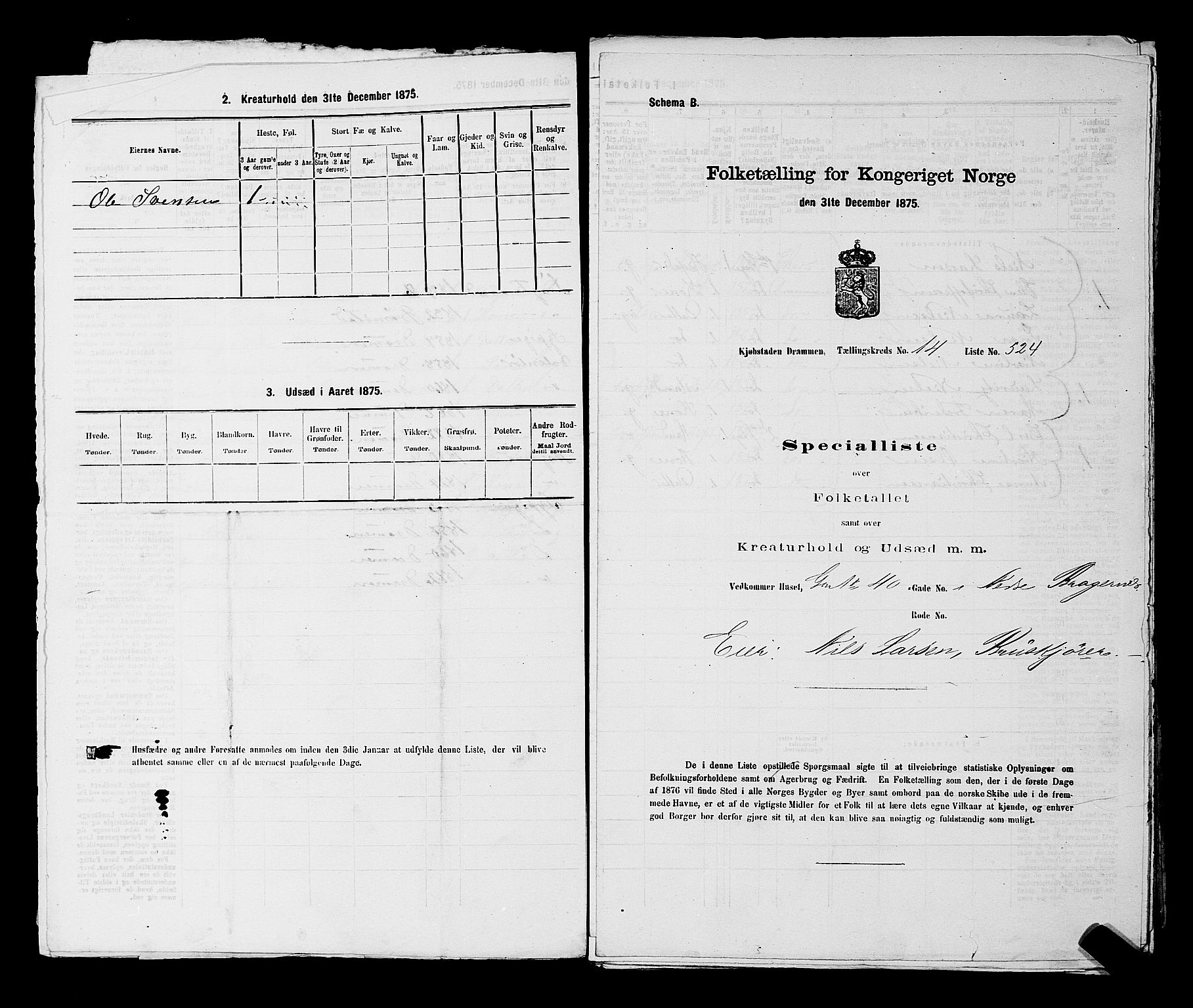 SAKO, 1875 census for 0602 Drammen, 1875, p. 1488