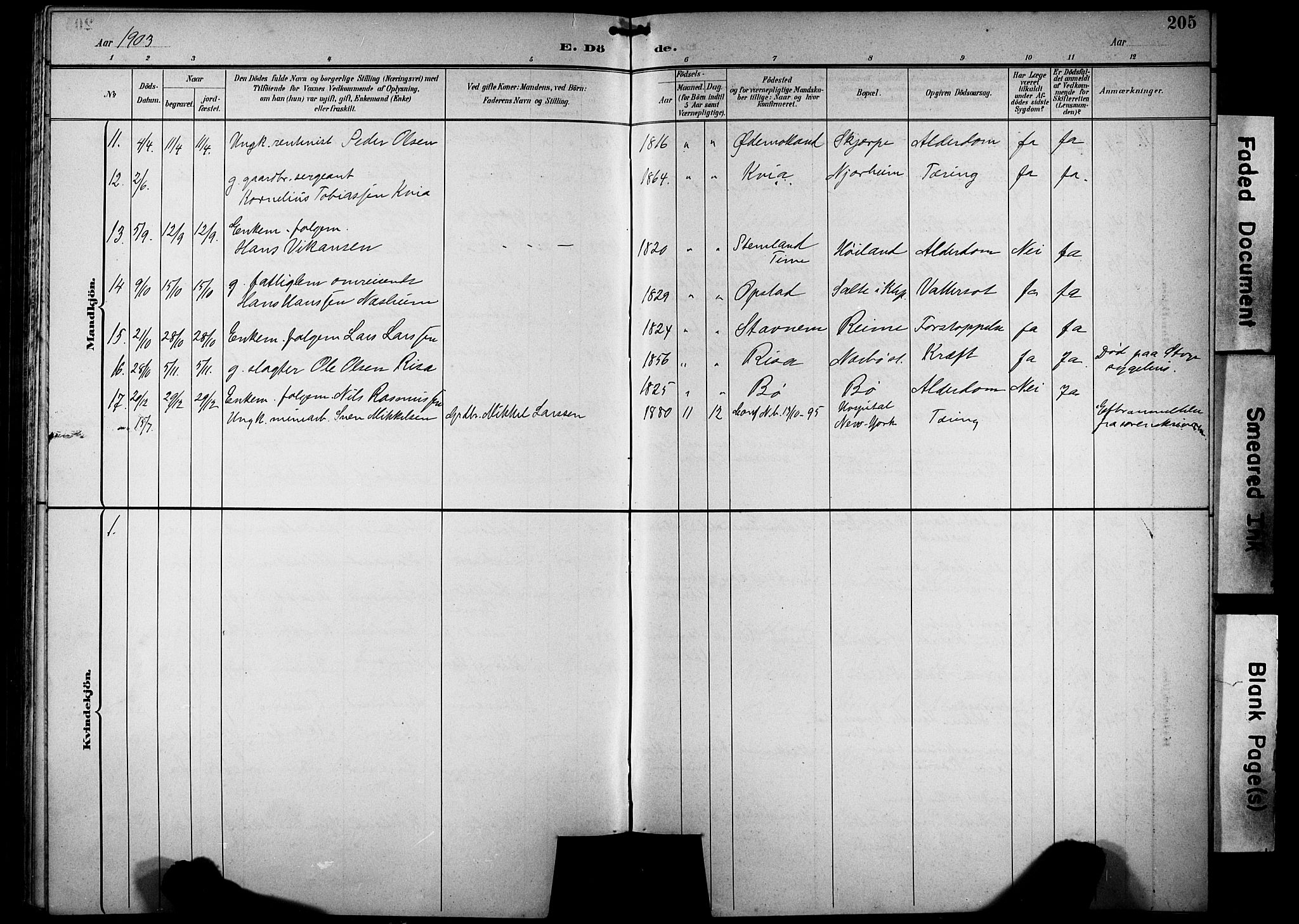 Hå sokneprestkontor, AV/SAST-A-101801/001/30BB/L0005: Parish register (copy) no. B 5, 1894-1912, p. 205