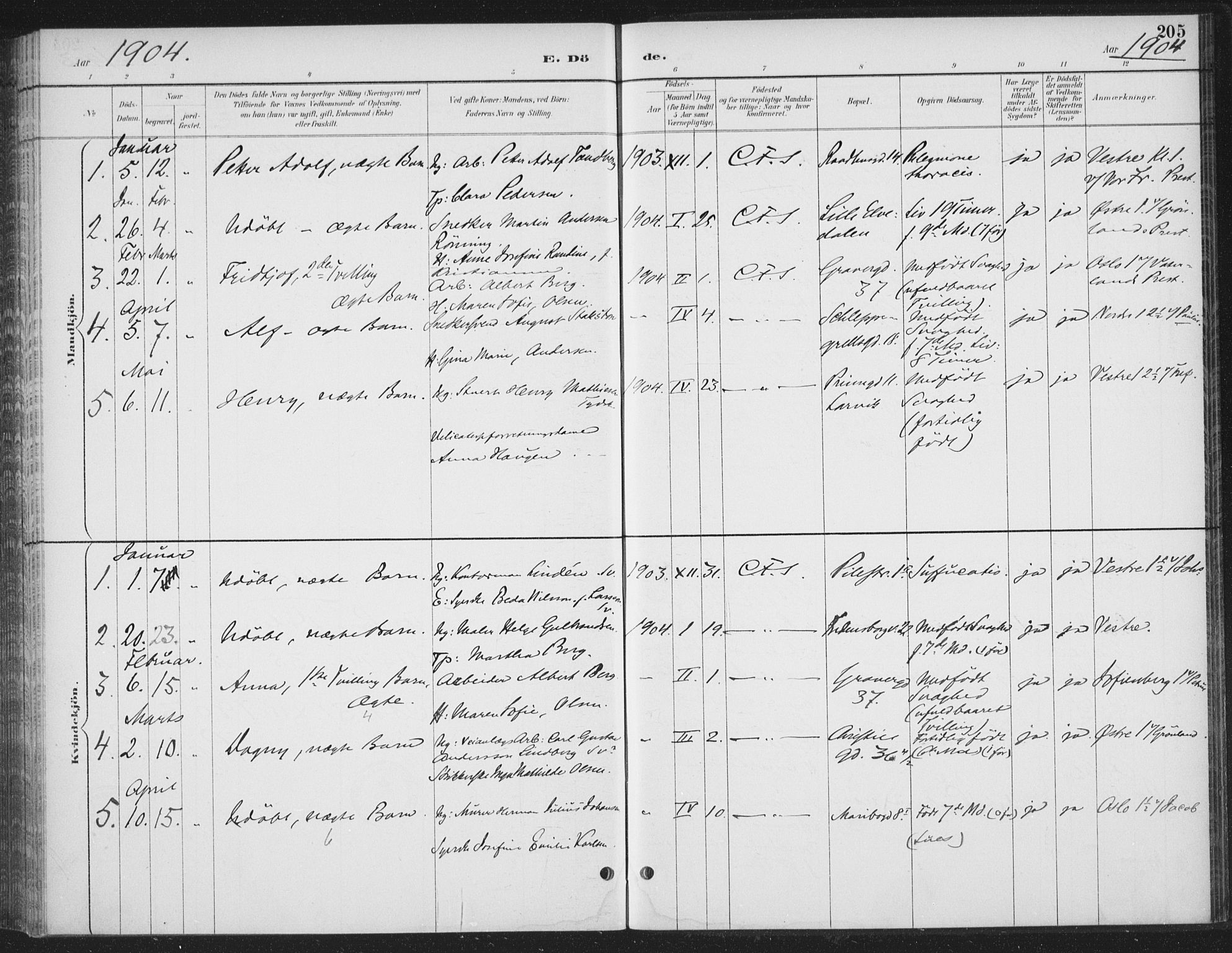 Rikshospitalet prestekontor Kirkebøker, AV/SAO-A-10309b/F/L0010: Parish register (official) no. 10, 1888-1912, p. 205