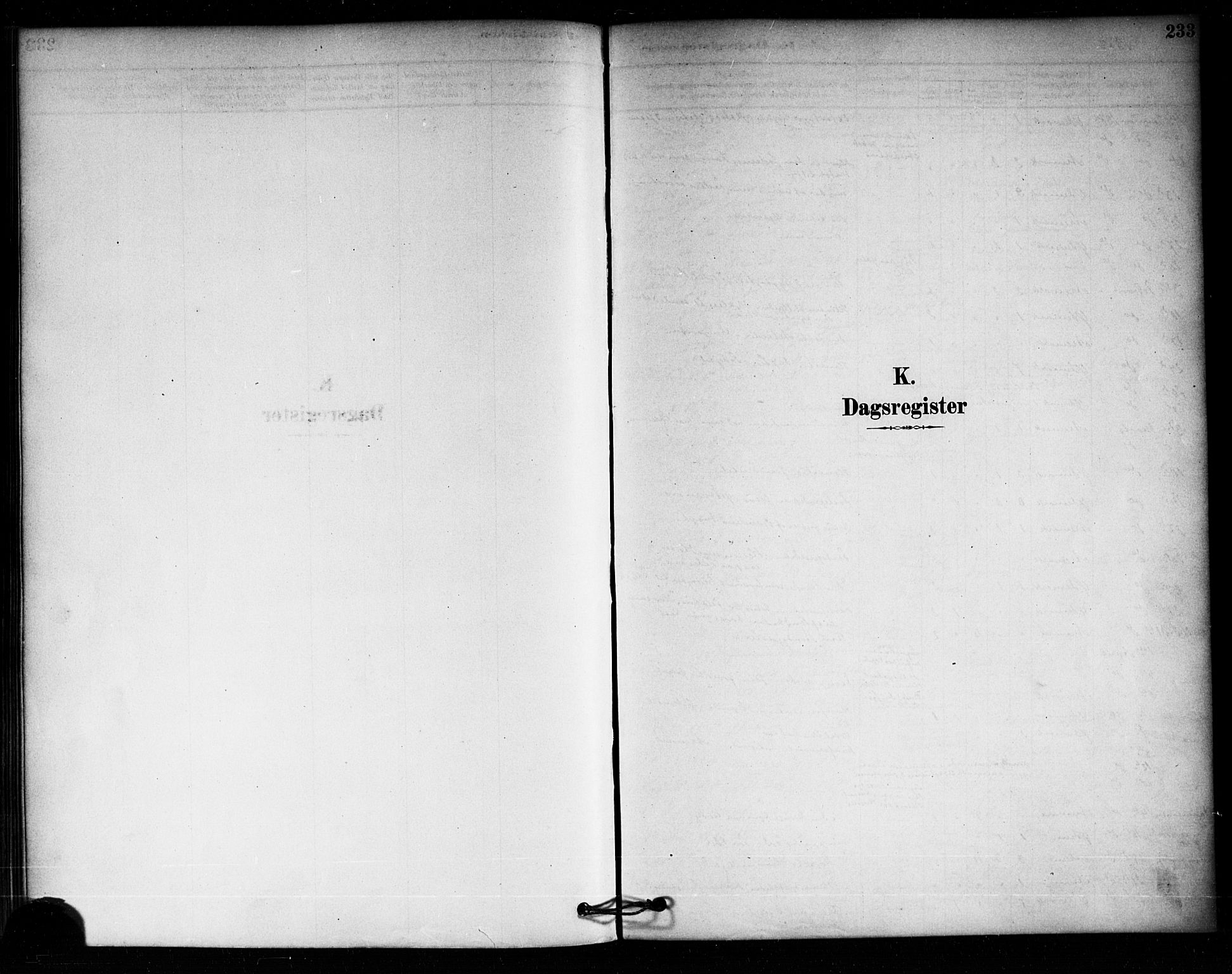 Aremark prestekontor Kirkebøker, SAO/A-10899/F/Fa/L0005: Parish register (official) no. I 5, 1878-1897, p. 233
