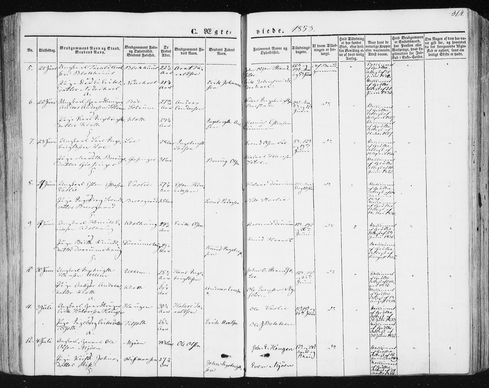 Ministerialprotokoller, klokkerbøker og fødselsregistre - Sør-Trøndelag, SAT/A-1456/678/L0899: Parish register (official) no. 678A08, 1848-1872, p. 314