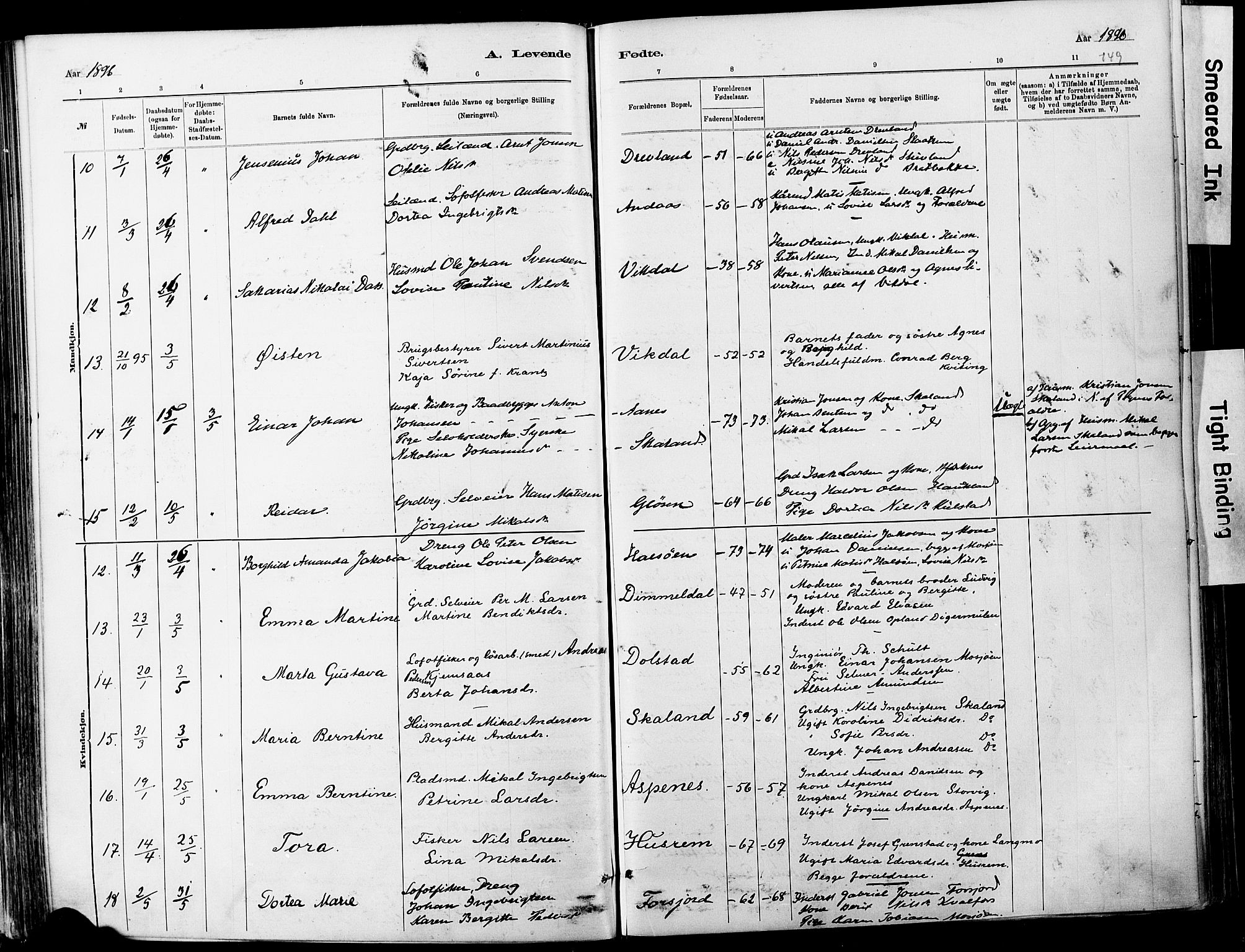 Ministerialprotokoller, klokkerbøker og fødselsregistre - Nordland, AV/SAT-A-1459/820/L0295: Parish register (official) no. 820A16, 1880-1896, p. 149