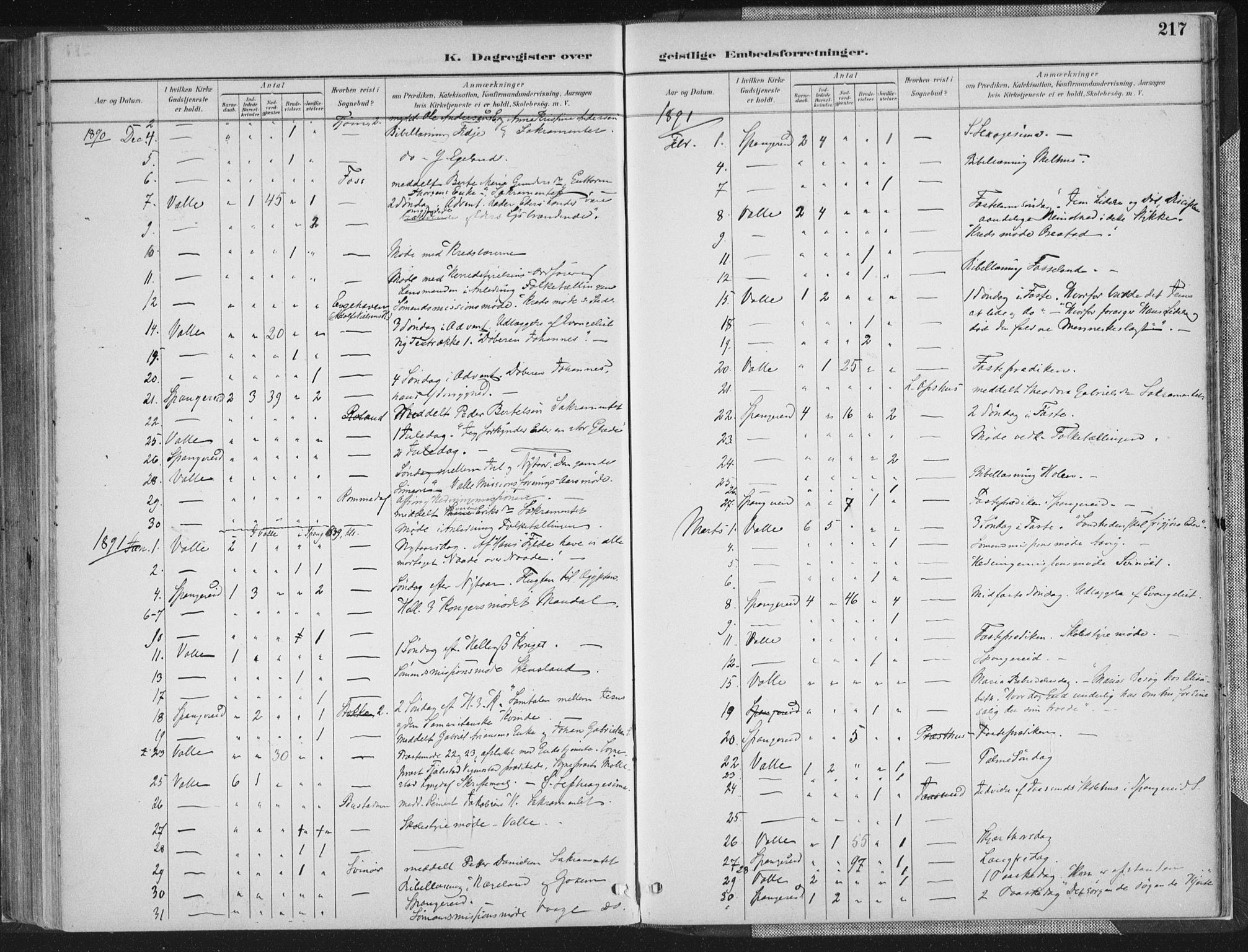 Sør-Audnedal sokneprestkontor, SAK/1111-0039/F/Fa/Faa/L0004: Parish register (official) no. A 4, 1884-1909, p. 217