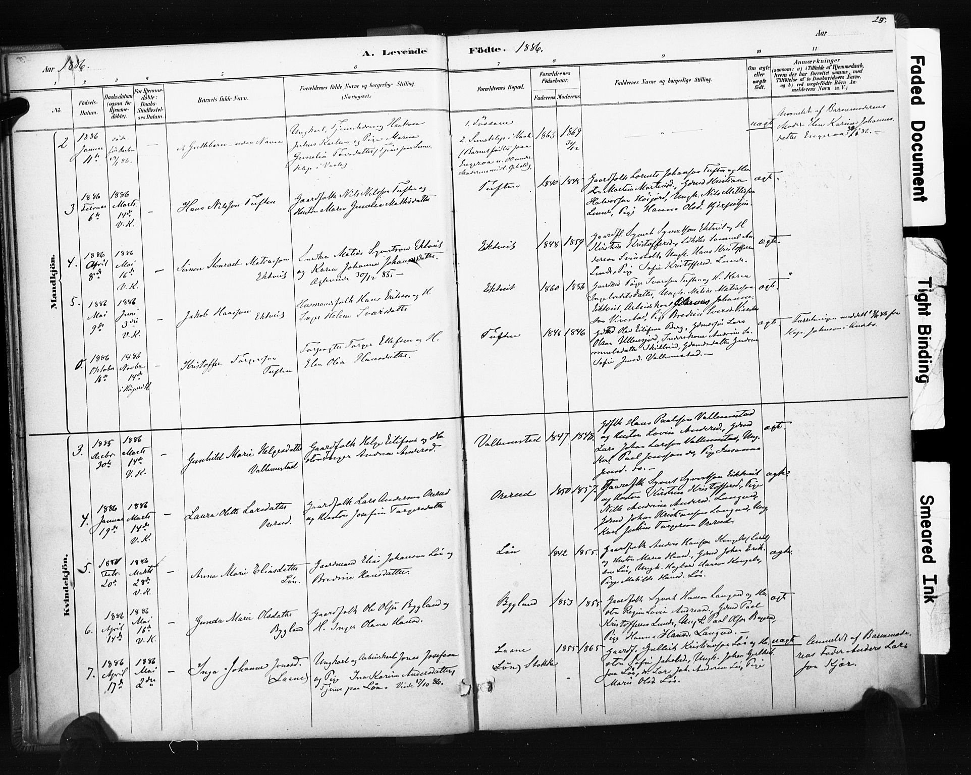 Ramnes kirkebøker, SAKO/A-314/F/Fc/L0001: Parish register (official) no. III 1, 1878-1899, p. 24-25
