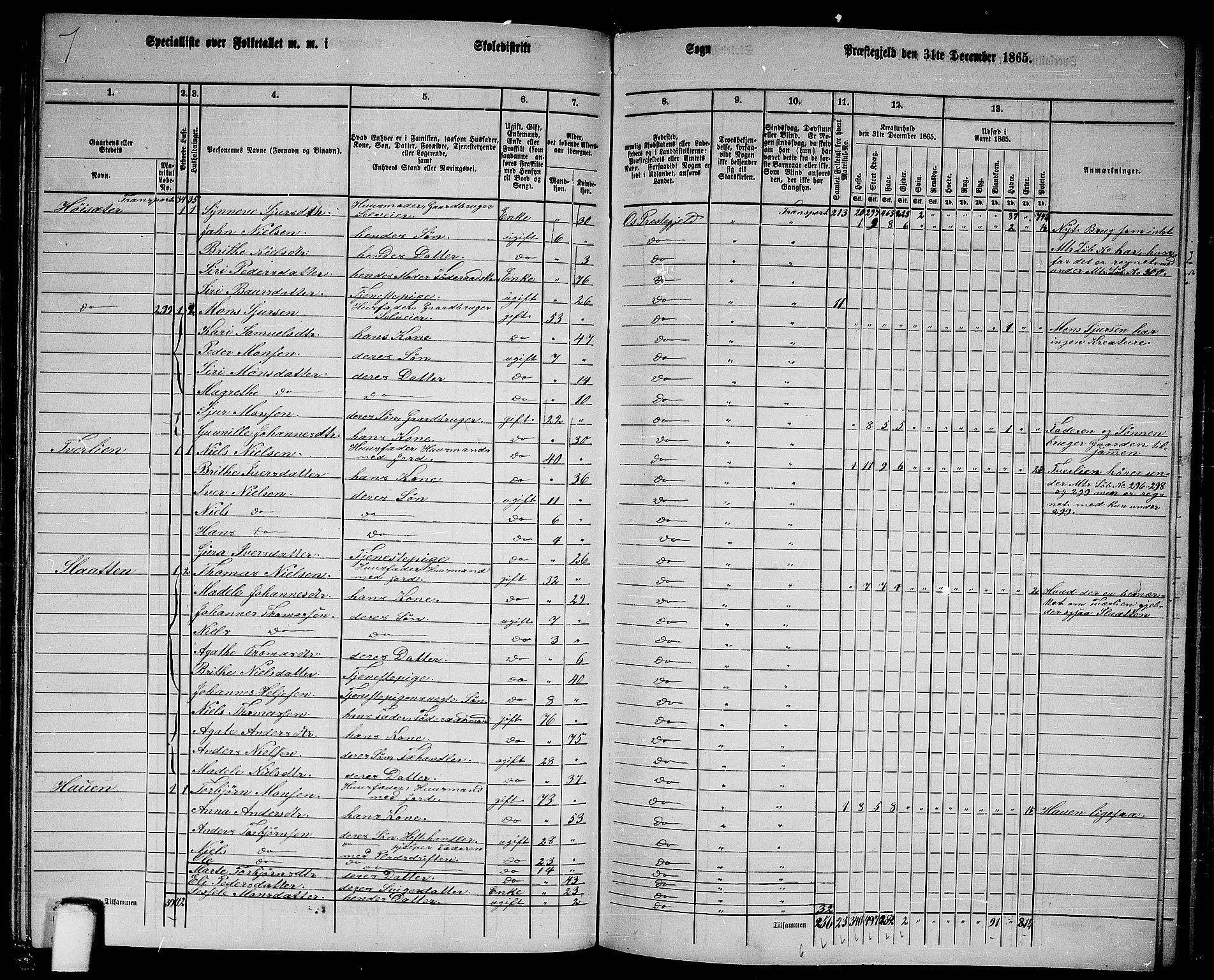 RA, 1865 census for Os, 1865, p. 131