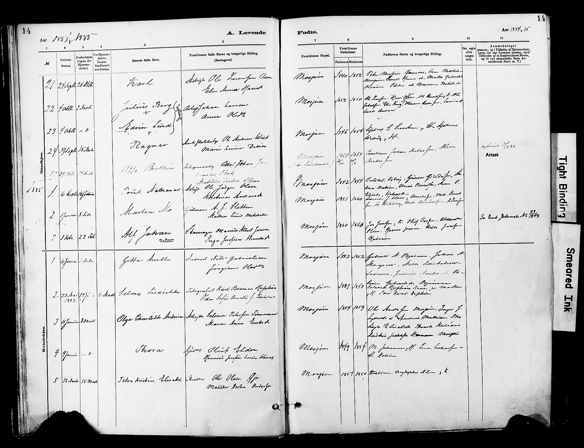 Ministerialprotokoller, klokkerbøker og fødselsregistre - Nordland, SAT/A-1459/820/L0296: Parish register (official) no. 820A17, 1880-1903, p. 14
