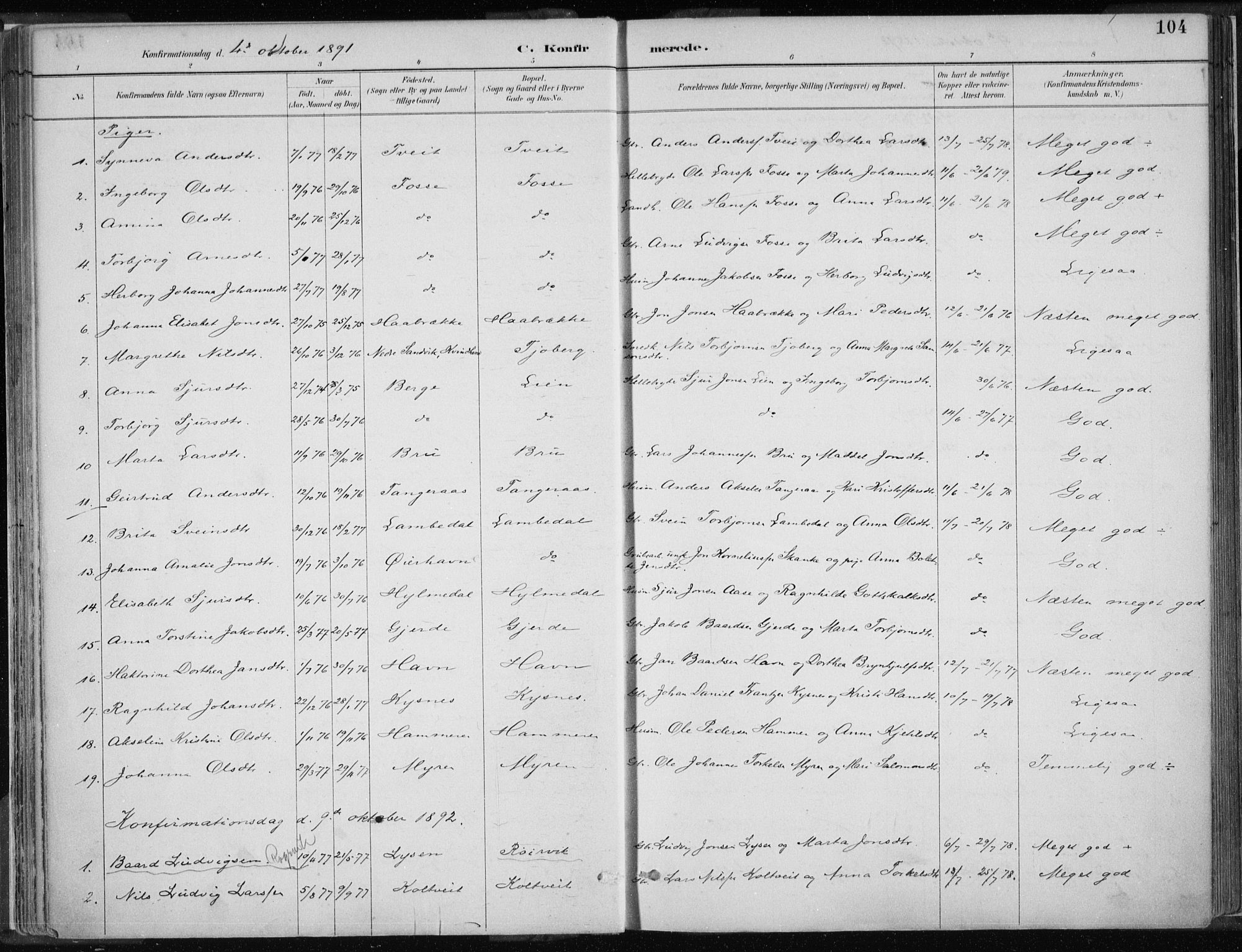 Strandebarm sokneprestembete, AV/SAB-A-78401/H/Haa: Parish register (official) no. B  1, 1886-1908, p. 104