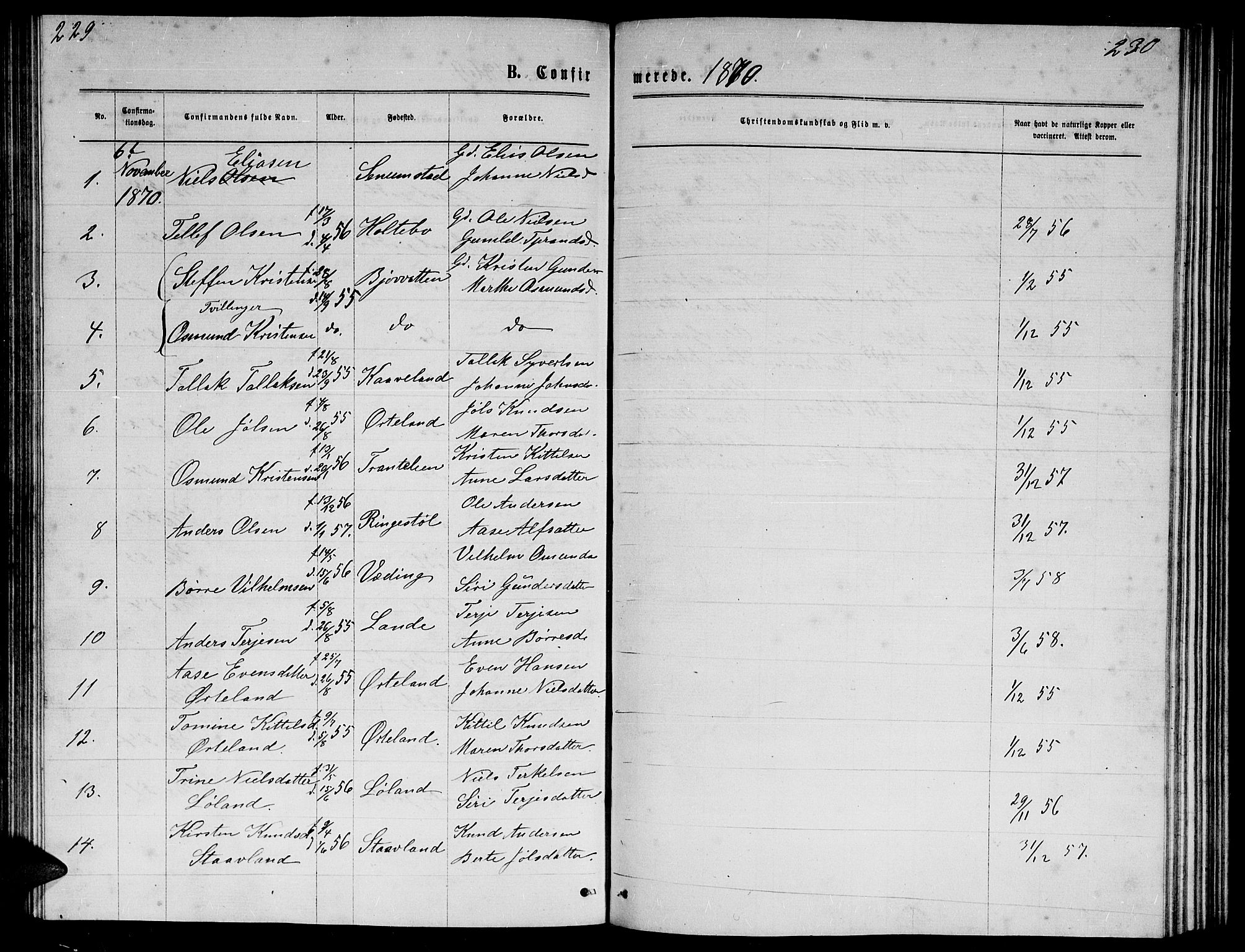 Herefoss sokneprestkontor, SAK/1111-0019/F/Fb/Fba/L0002: Parish register (copy) no. B 2, 1868-1886, p. 229-230