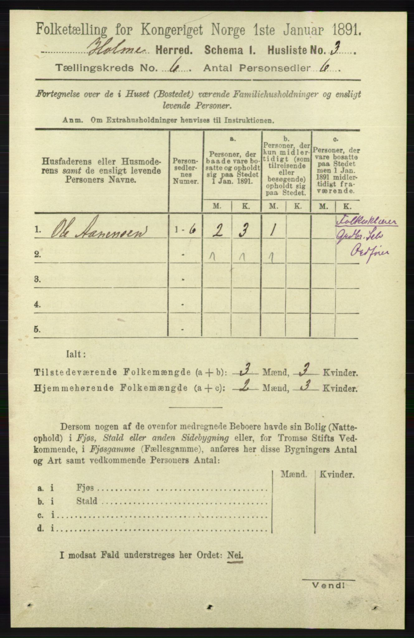 RA, 1891 census for 1020 Holum, 1891, p. 1533