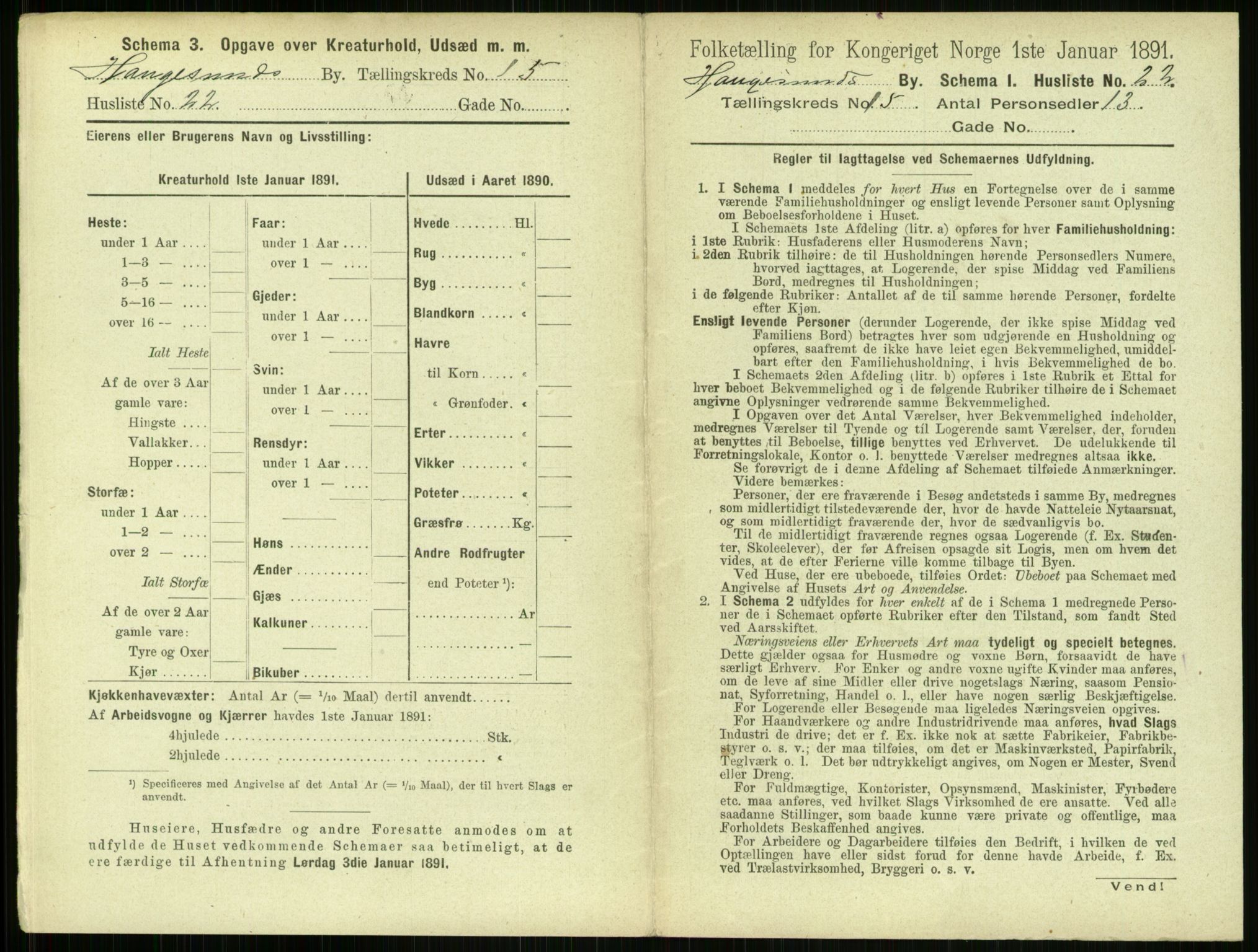 RA, 1891 census for 1106 Haugesund, 1891, p. 1006