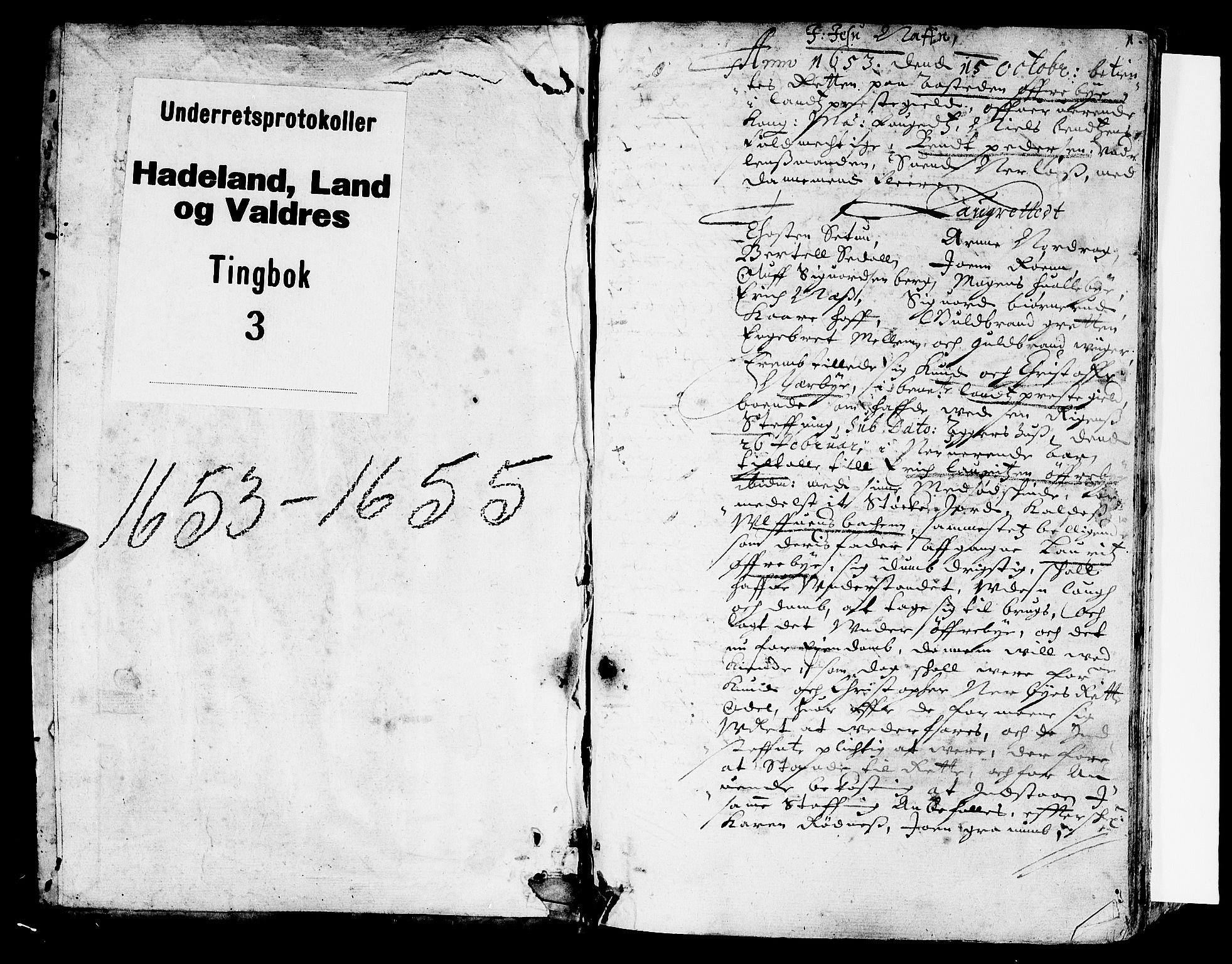 Hadeland, Land og Valdres sorenskriveri, AV/SAH-TING-028/G/Gb/L0003: Tingbok, 1653-1655, p. 0b-1a