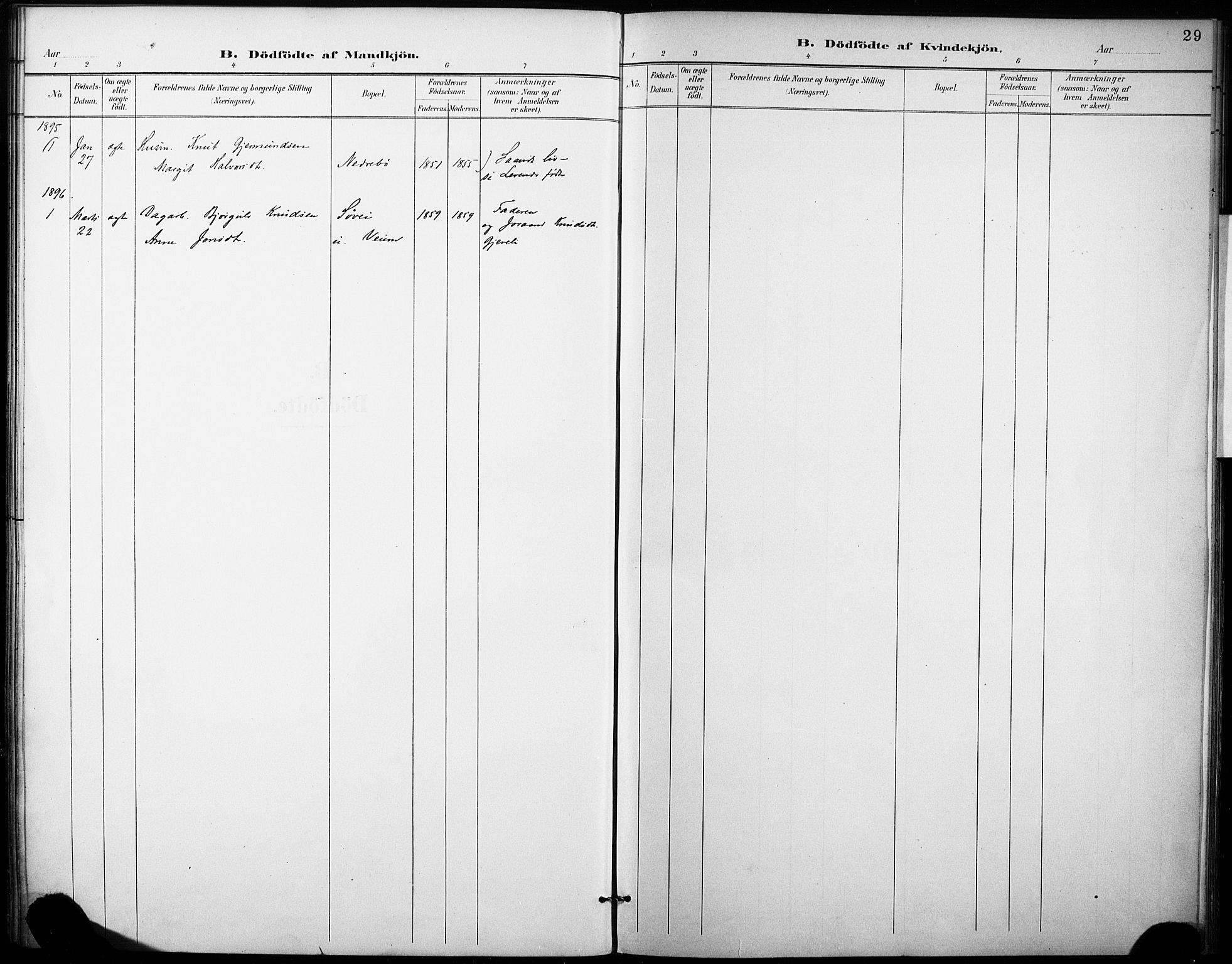 Fyresdal kirkebøker, SAKO/A-263/F/Fb/L0003: Parish register (official) no. II 3, 1887-1903, p. 29