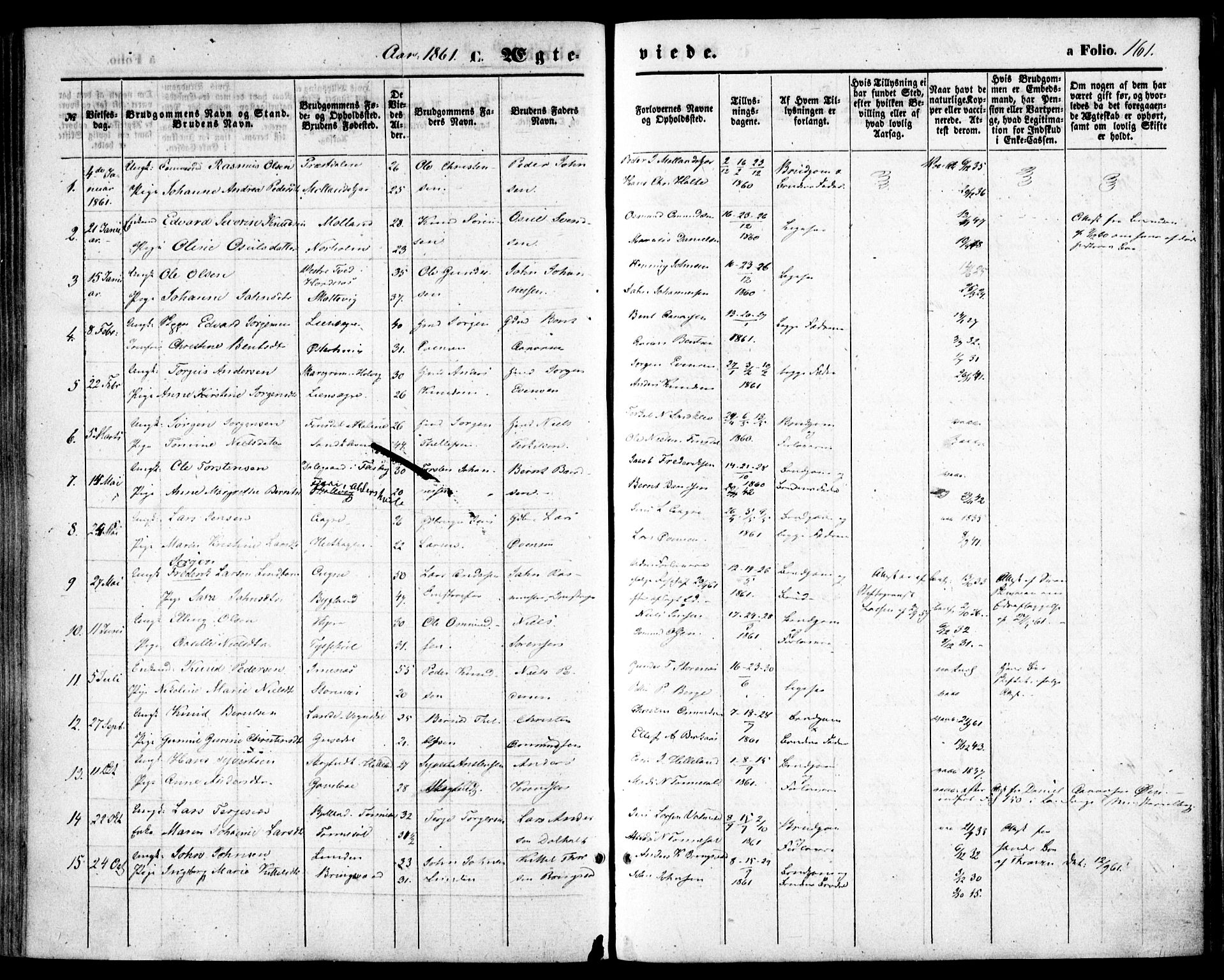 Hommedal sokneprestkontor, SAK/1111-0023/F/Fa/Fab/L0005: Parish register (official) no. A 5, 1861-1877, p. 161