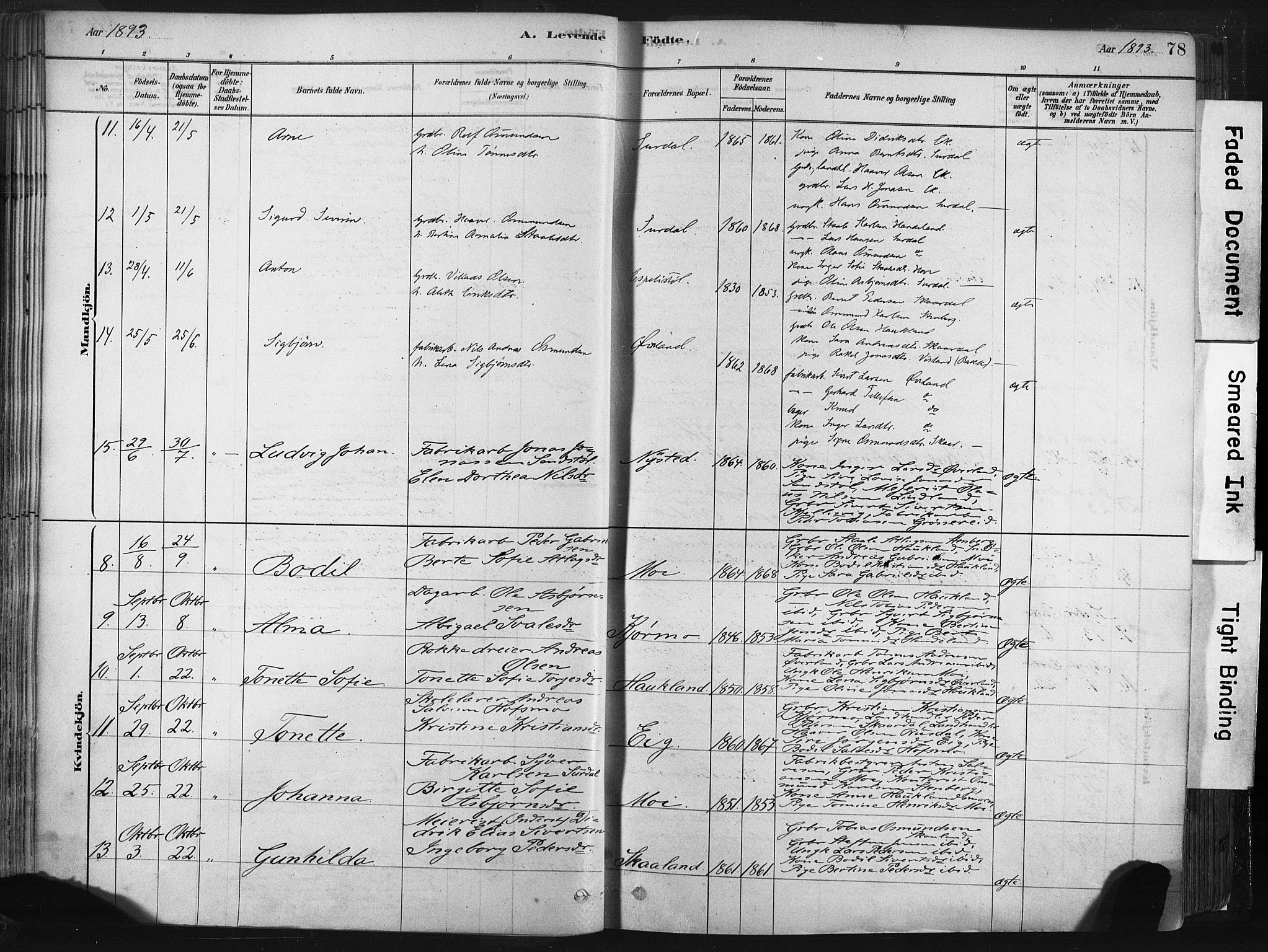 Lund sokneprestkontor, SAST/A-101809/S06/L0011: Parish register (official) no. A 10, 1877-1904, p. 78