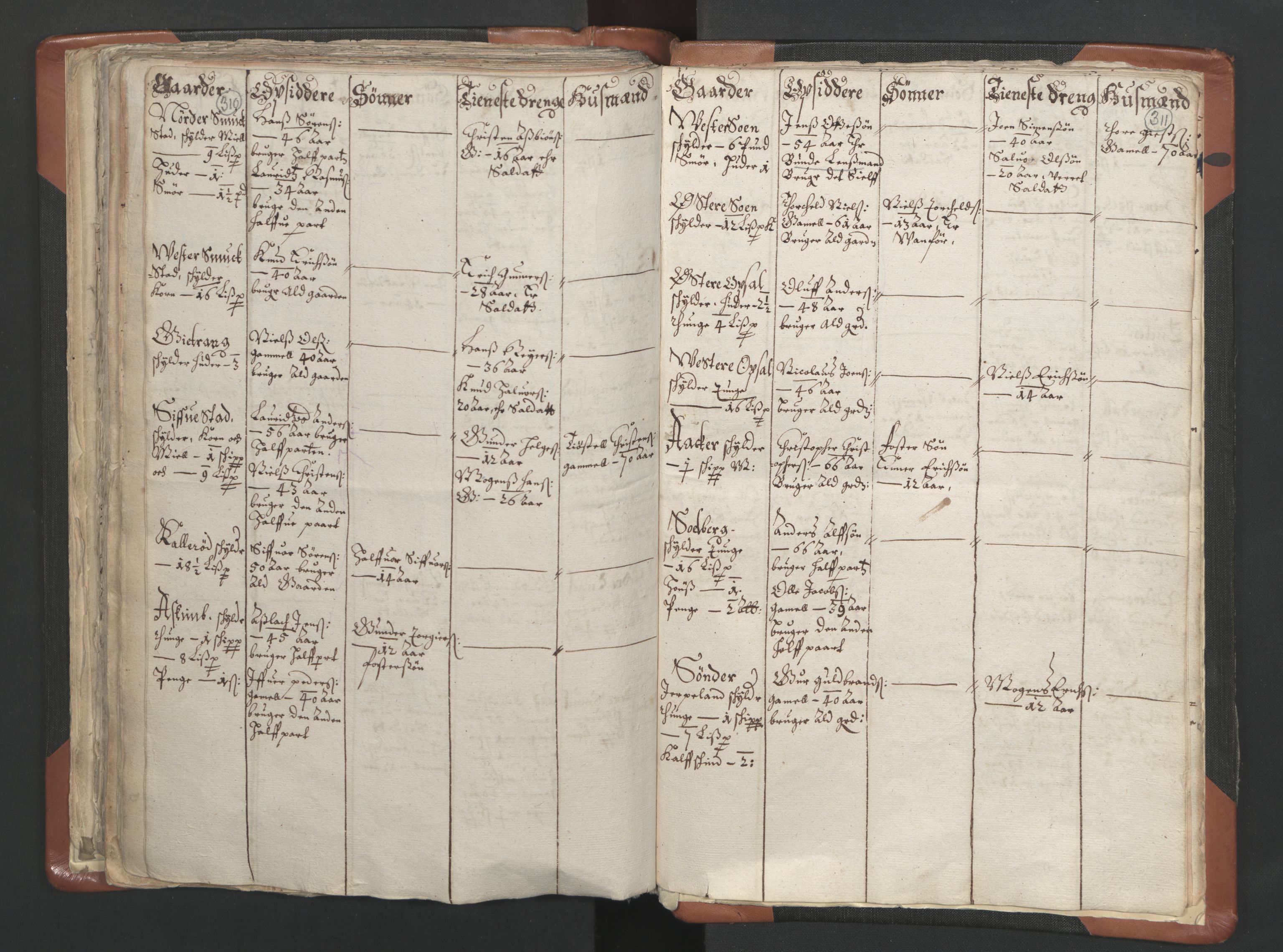 RA, Vicar's Census 1664-1666, no. 10: Tønsberg deanery, 1664-1666, p. 310-311