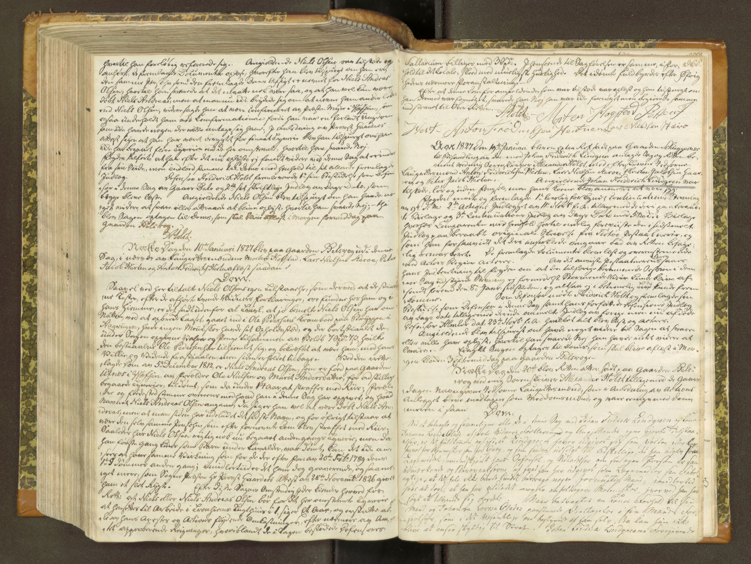 Helgeland sorenskriveri, AV/SAT-A-0004/1/1A/L0039: Tingbok 28, 1821-1827, p. 364b-365a