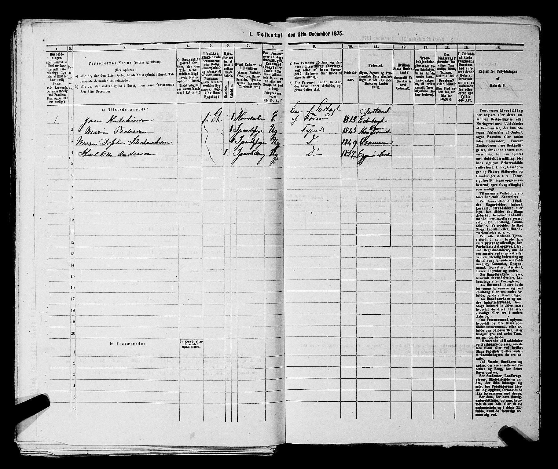 SAKO, 1875 census for 0602 Drammen, 1875, p. 2075