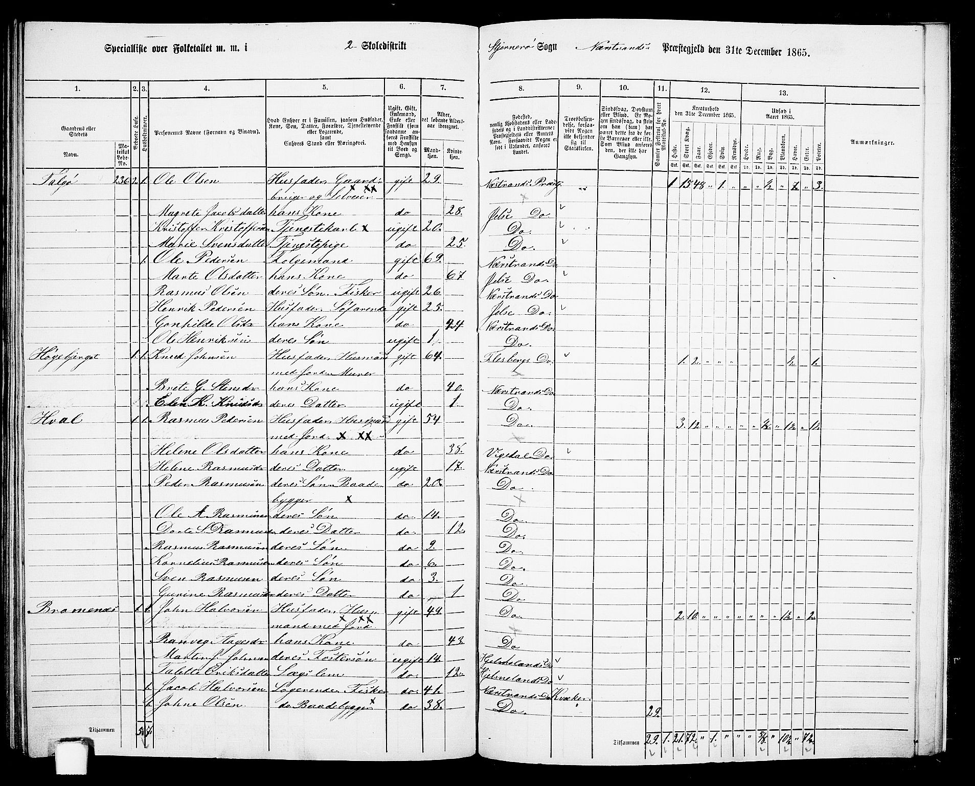 RA, 1865 census for Nedstrand, 1865, p. 102